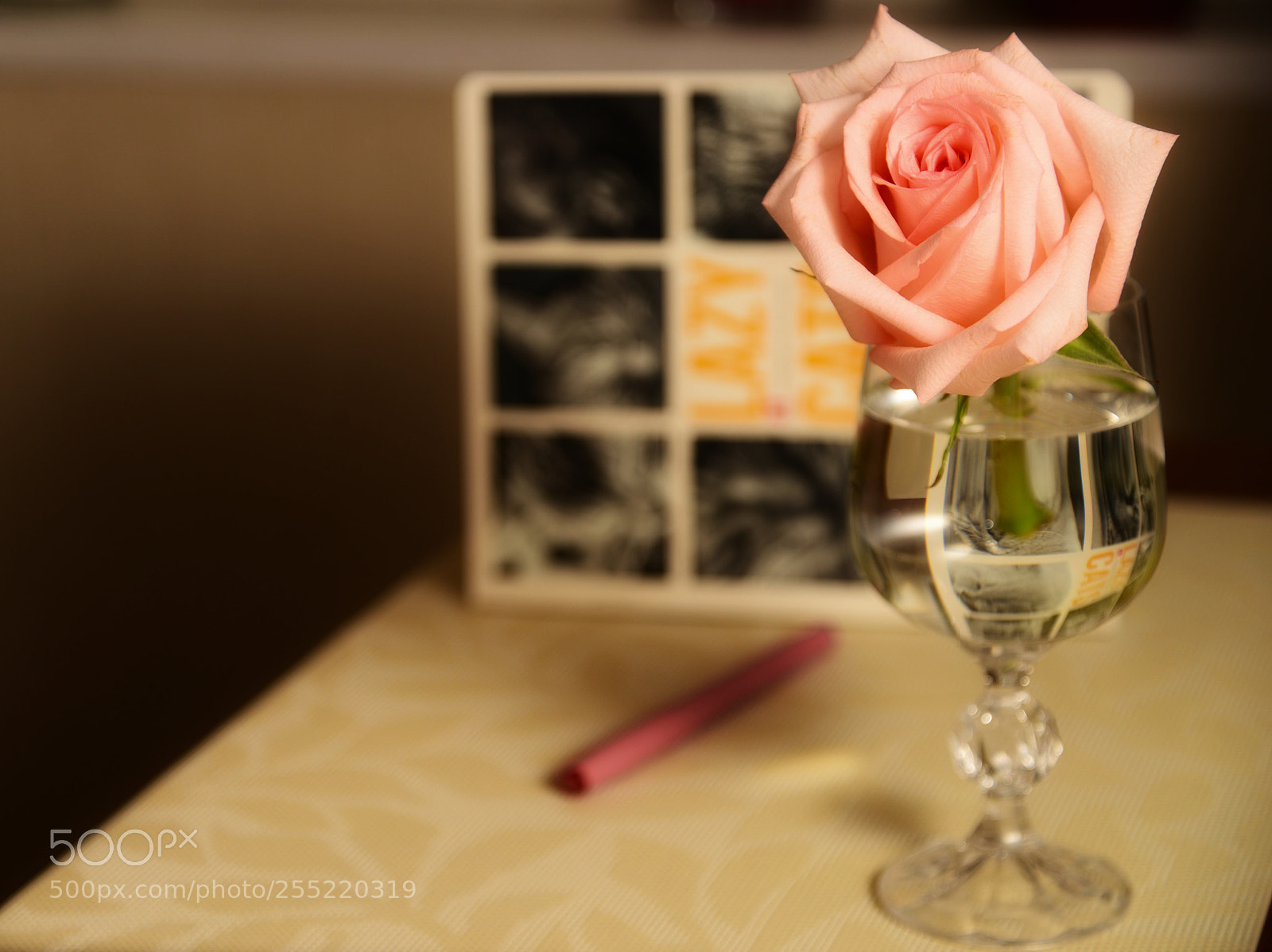Nikon D600 sample photo. Rose in glass photography
