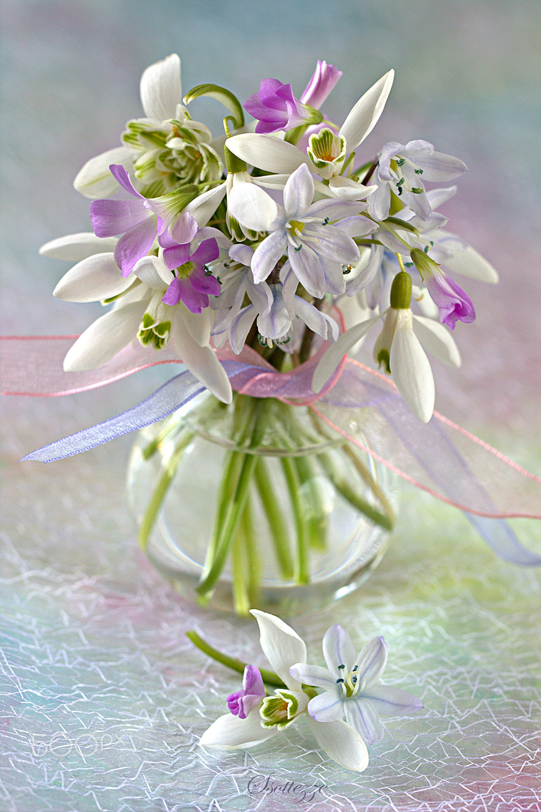 Canon EF 100mm F2.8L Macro IS USM sample photo. Spring posy photography