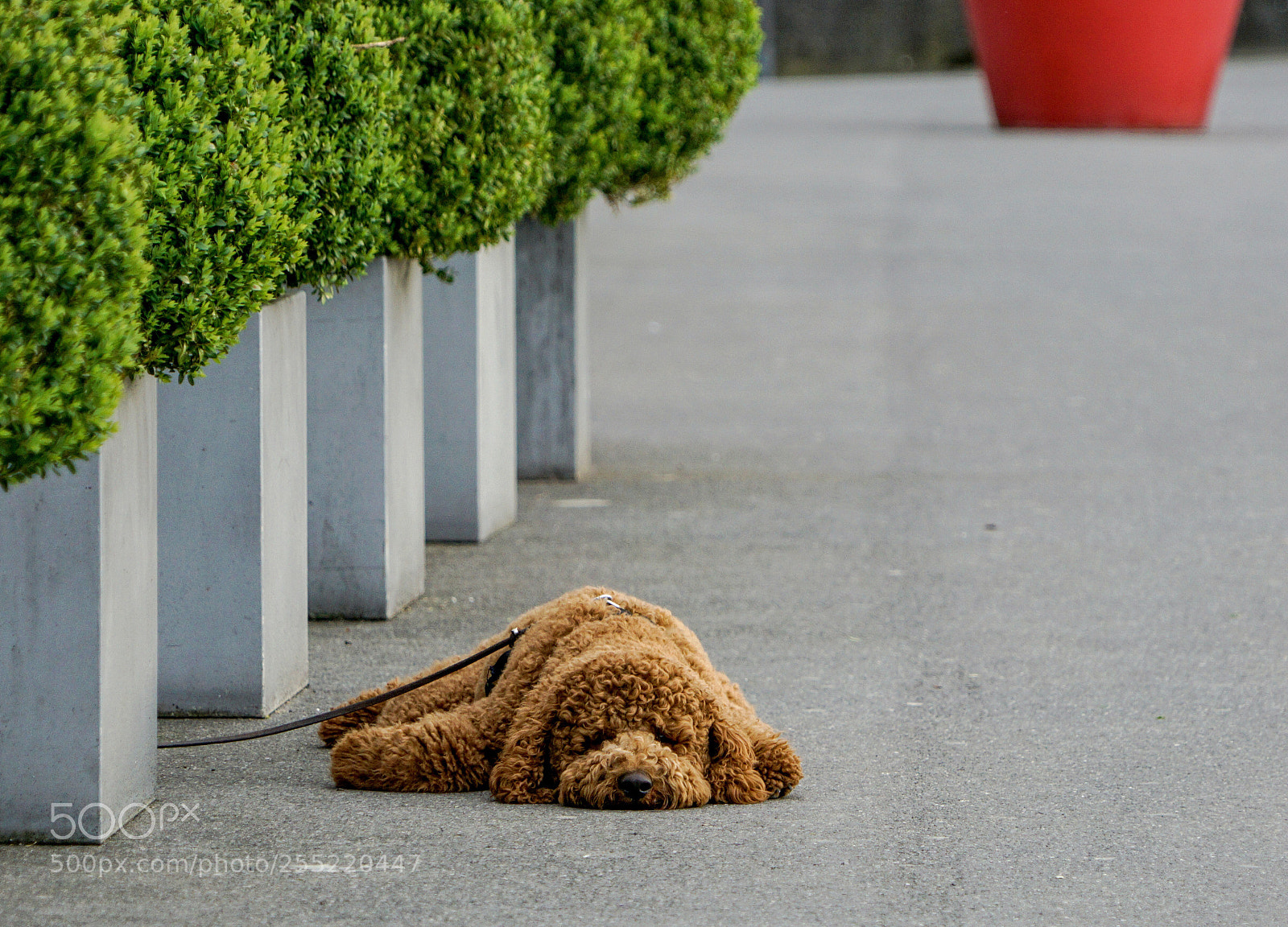 Sony a6000 sample photo. Waiting for the weekend photography