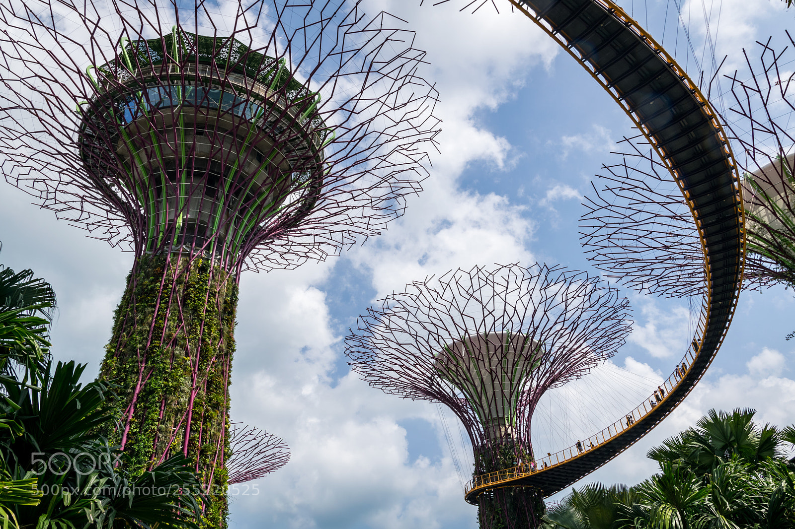Nikon D5300 sample photo. Sky garden photography