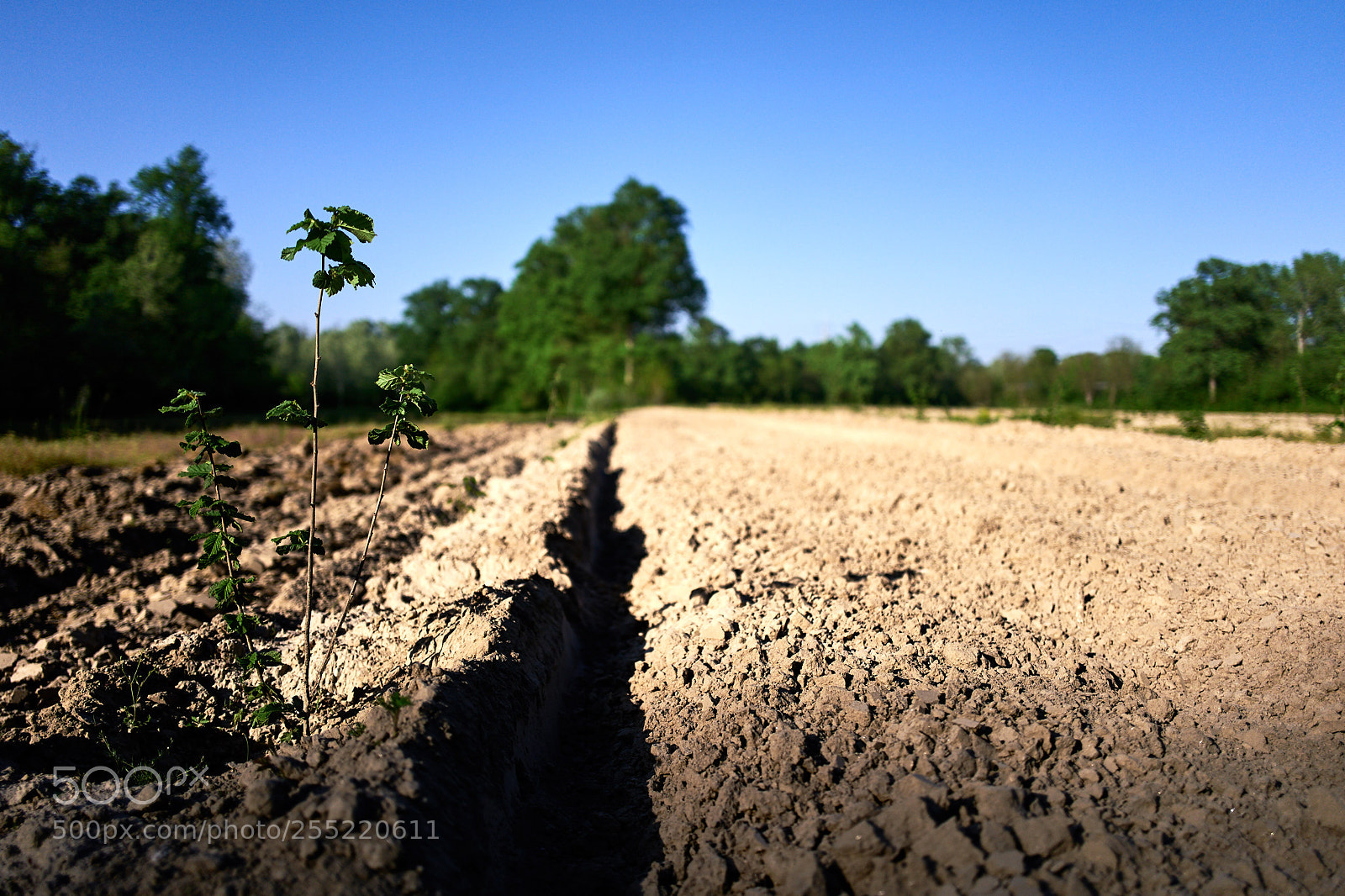 Leica Q (Typ 116) sample photo. New signs photography