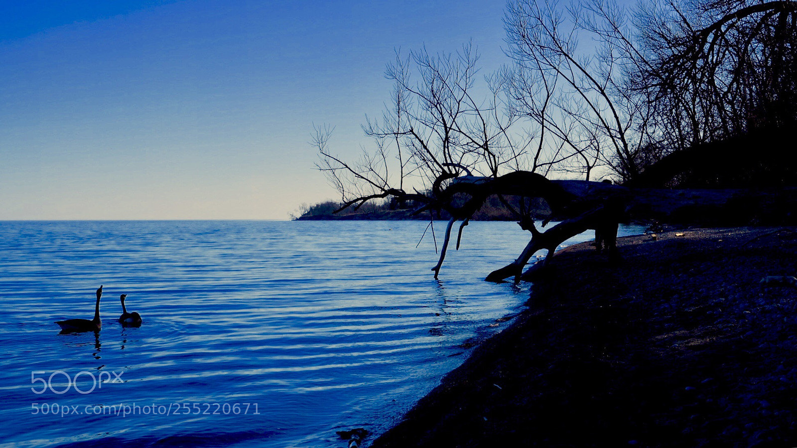 Fujifilm GFX 50S sample photo. Ontario lake lakeshore  photography