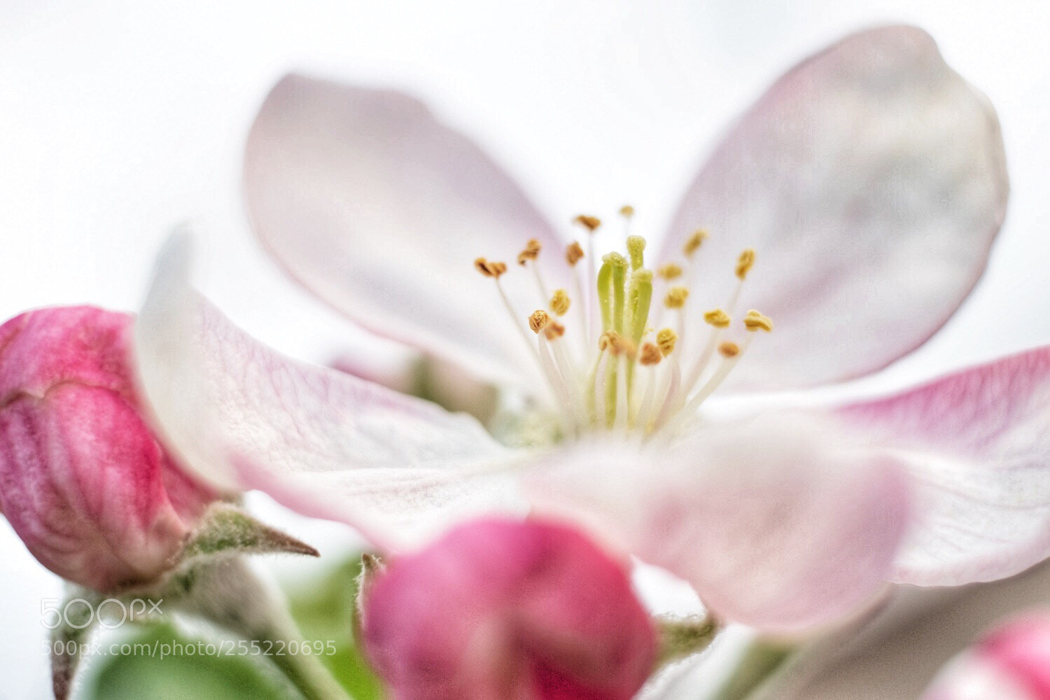 Fujifilm X-T2 sample photo. Untitled photography