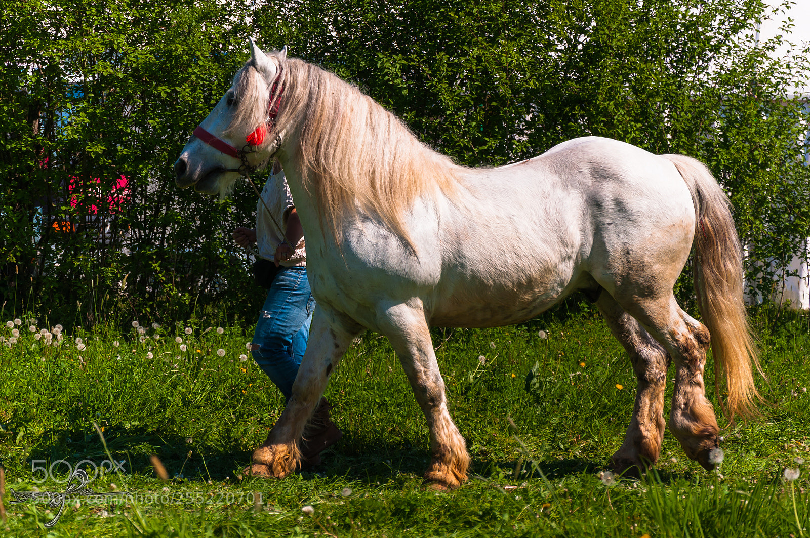 Nikon D90 sample photo. Untitled photography