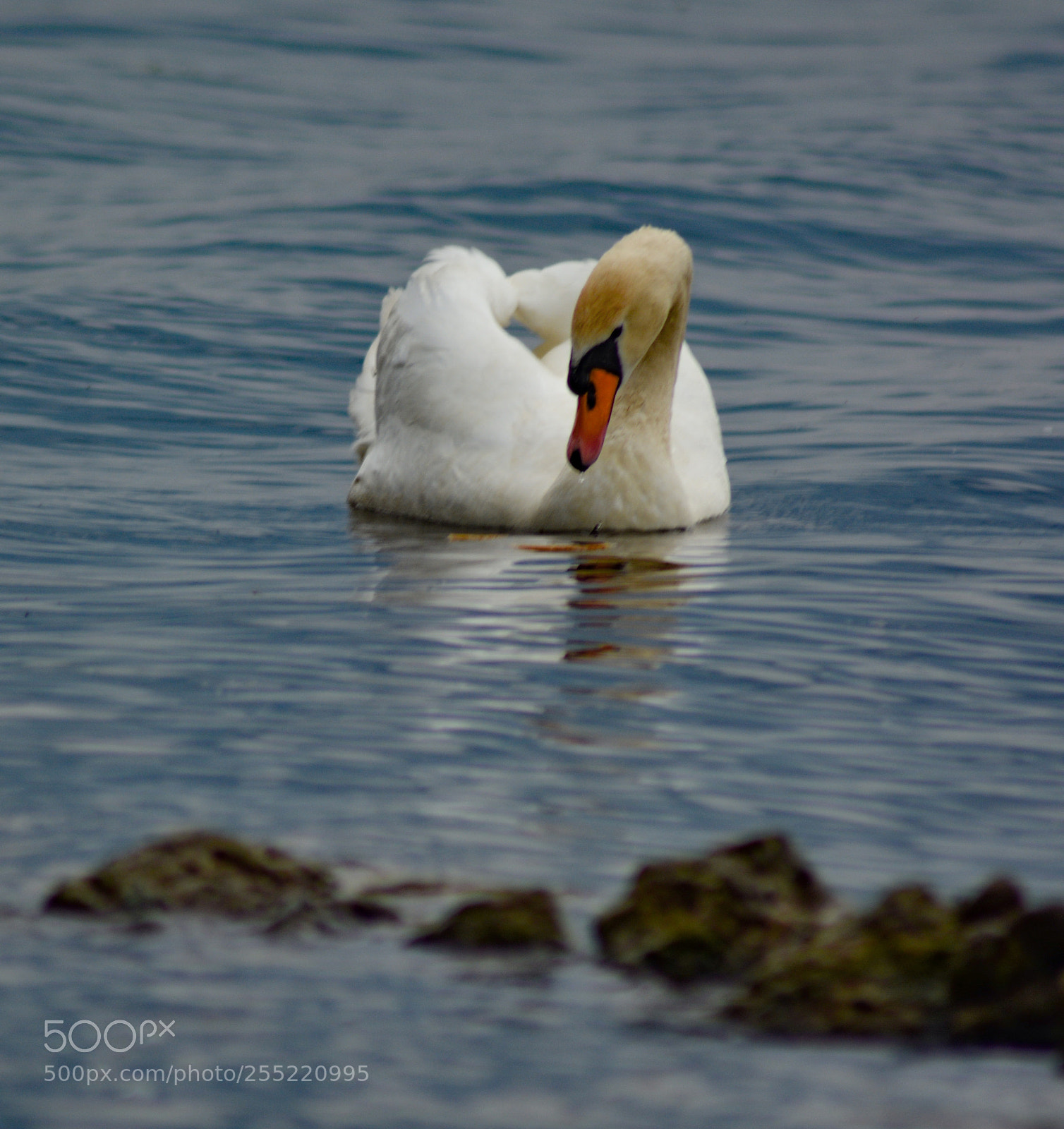 Nikon D5200 sample photo. Lake photography