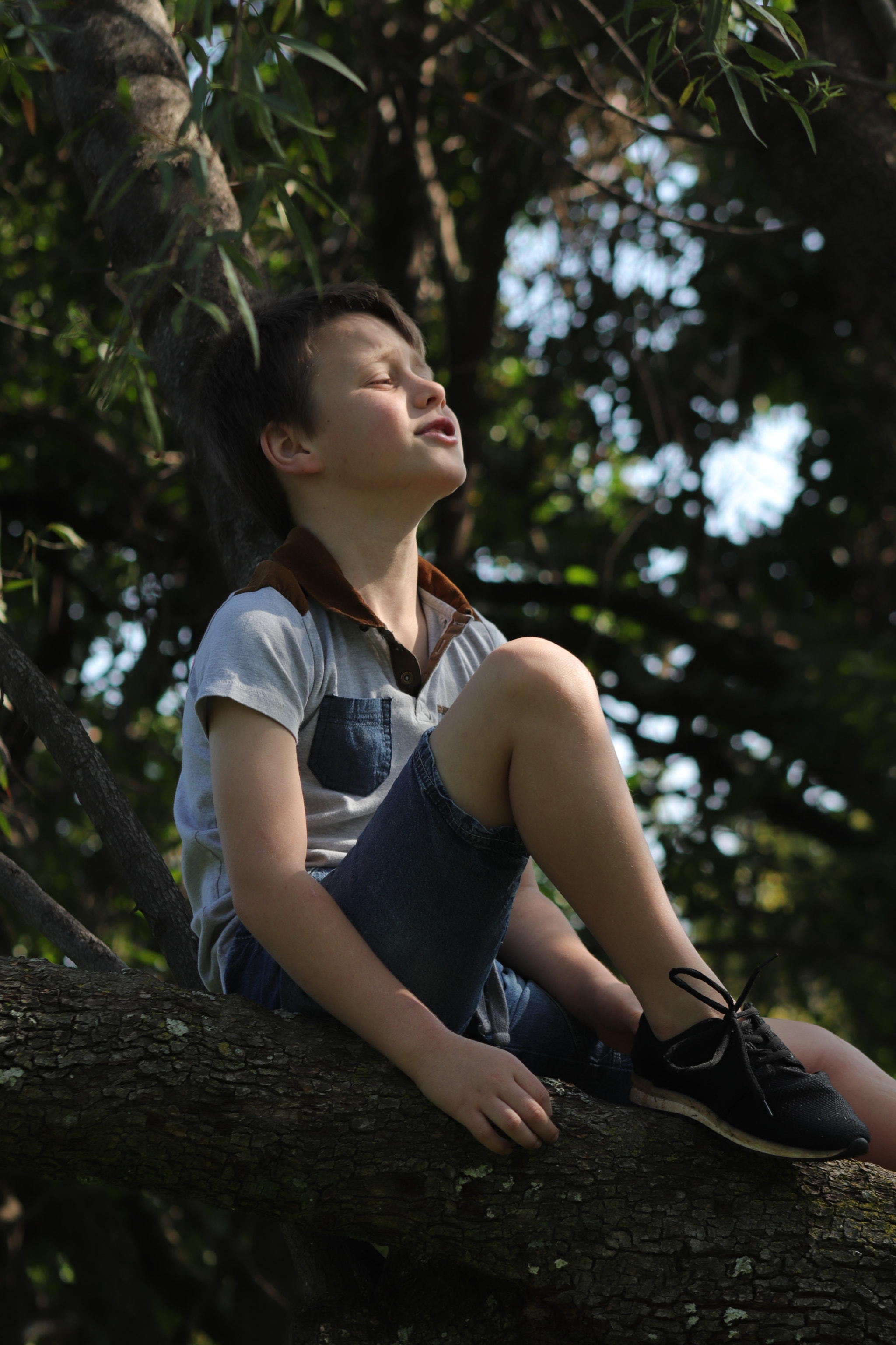 Canon EF 75-300mm f/4-5.6 sample photo. Img photography