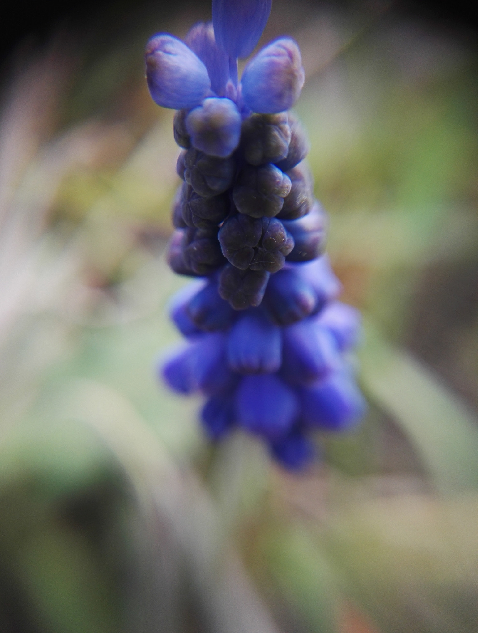 HUAWEI Honor 7 sample photo