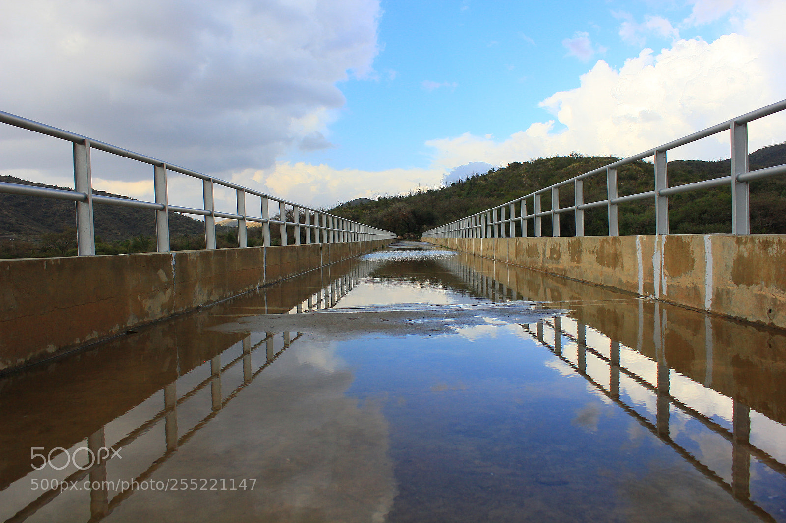Canon EF-S 18-55mm F3.5-5.6 IS sample photo. Untitled photography