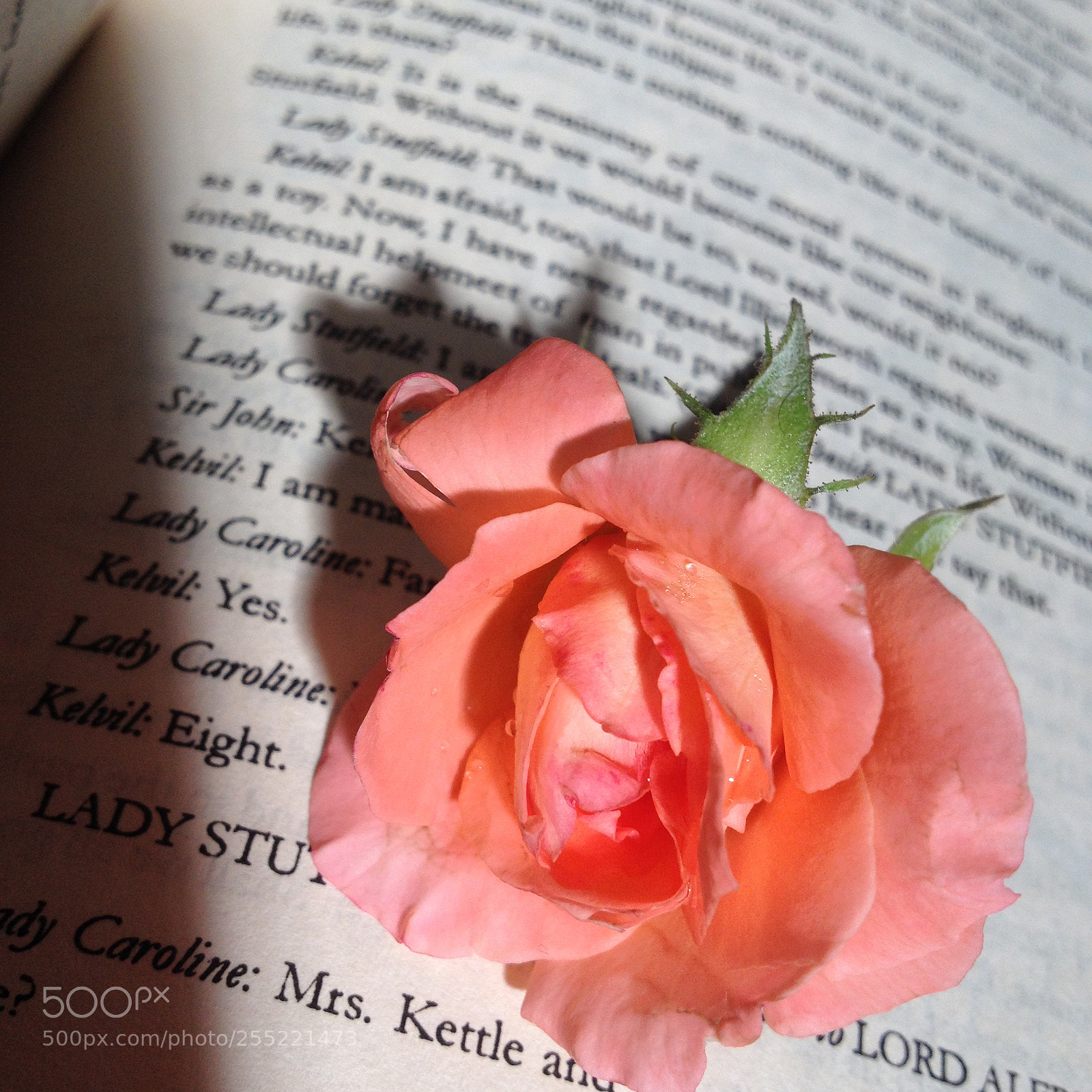 Apple iPhone 4S sample photo. ❤ photography