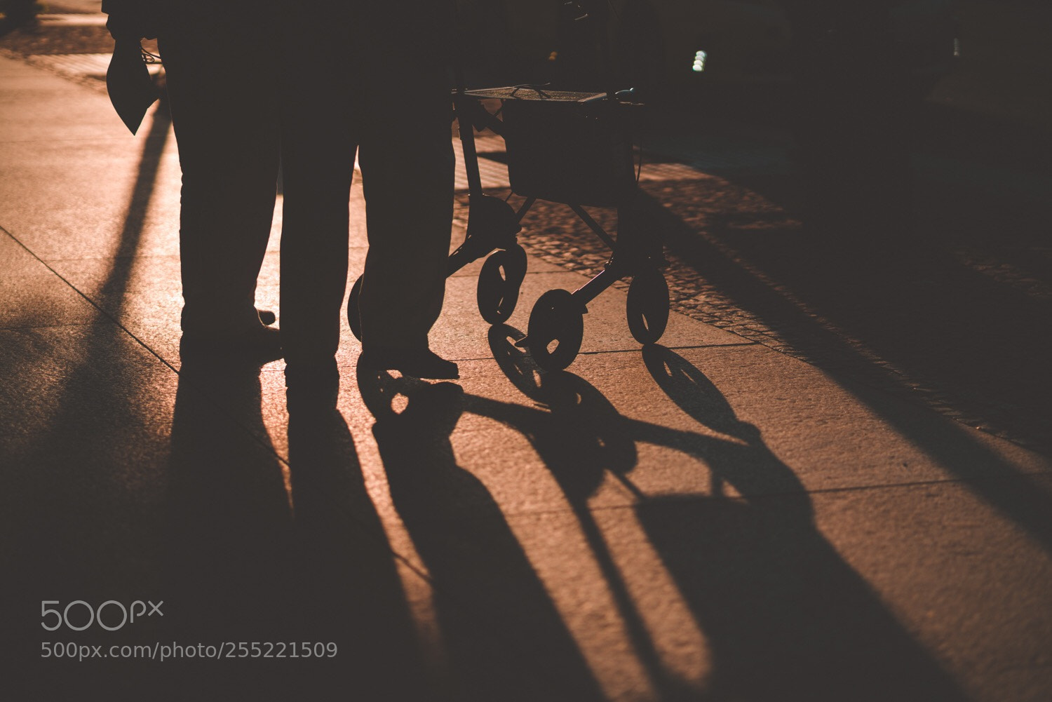 Sony a7R II sample photo. Shadowplay photography