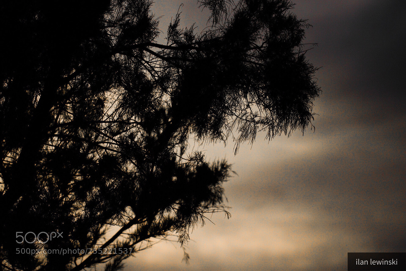 Canon EOS 80D sample photo. Untitled photography