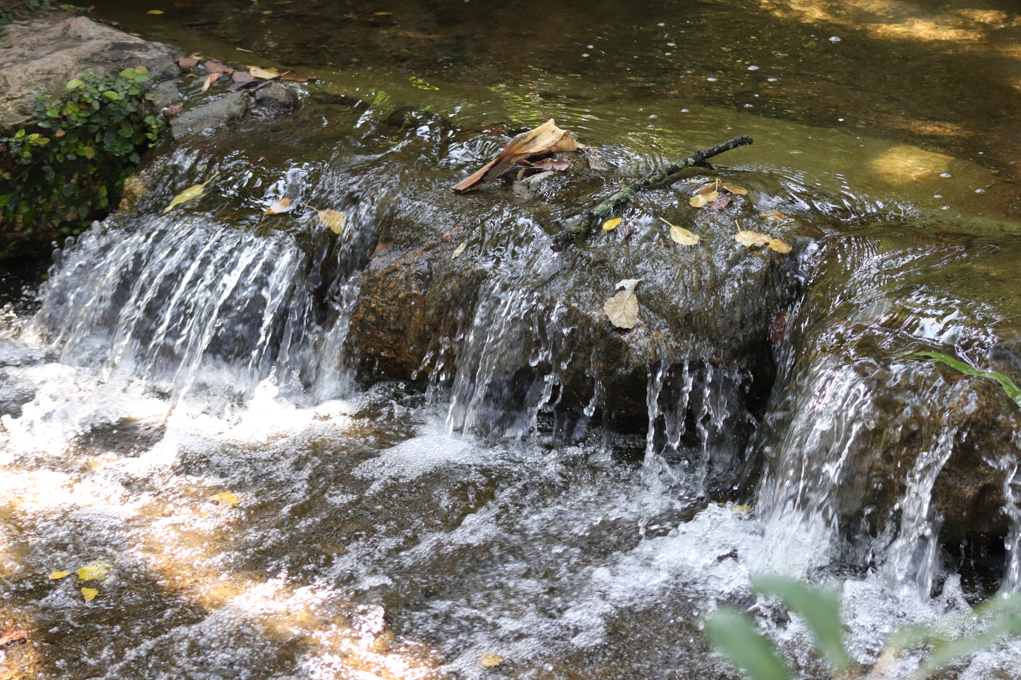 Canon EF 75-300mm f/4-5.6 sample photo. Img photography