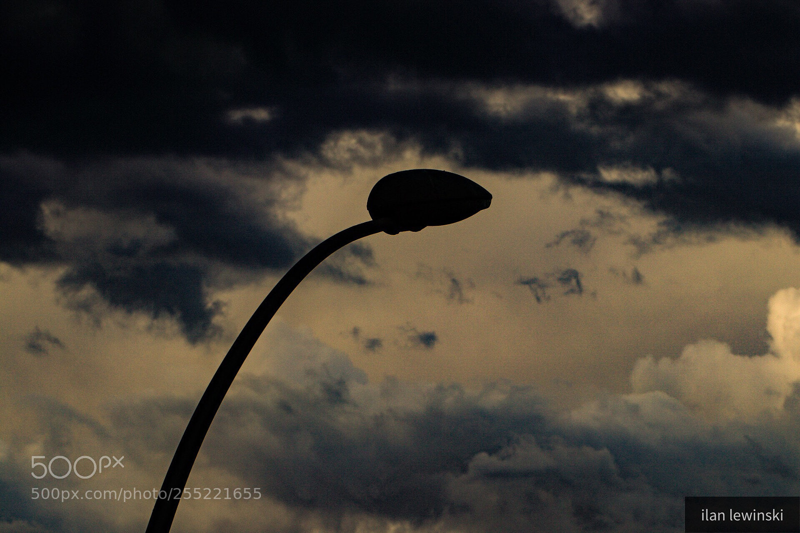 Canon EOS 80D sample photo. Untitled photography