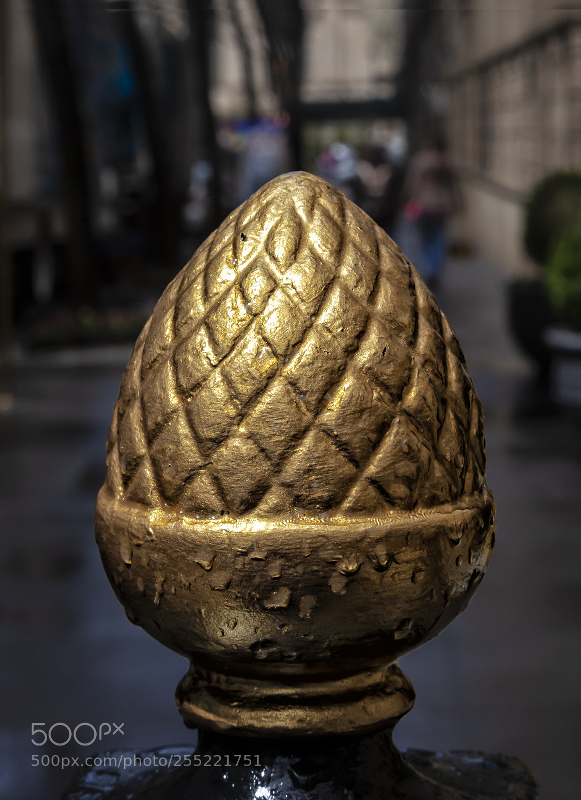 Canon EOS 5D Mark II sample photo. Detail of bannister photography