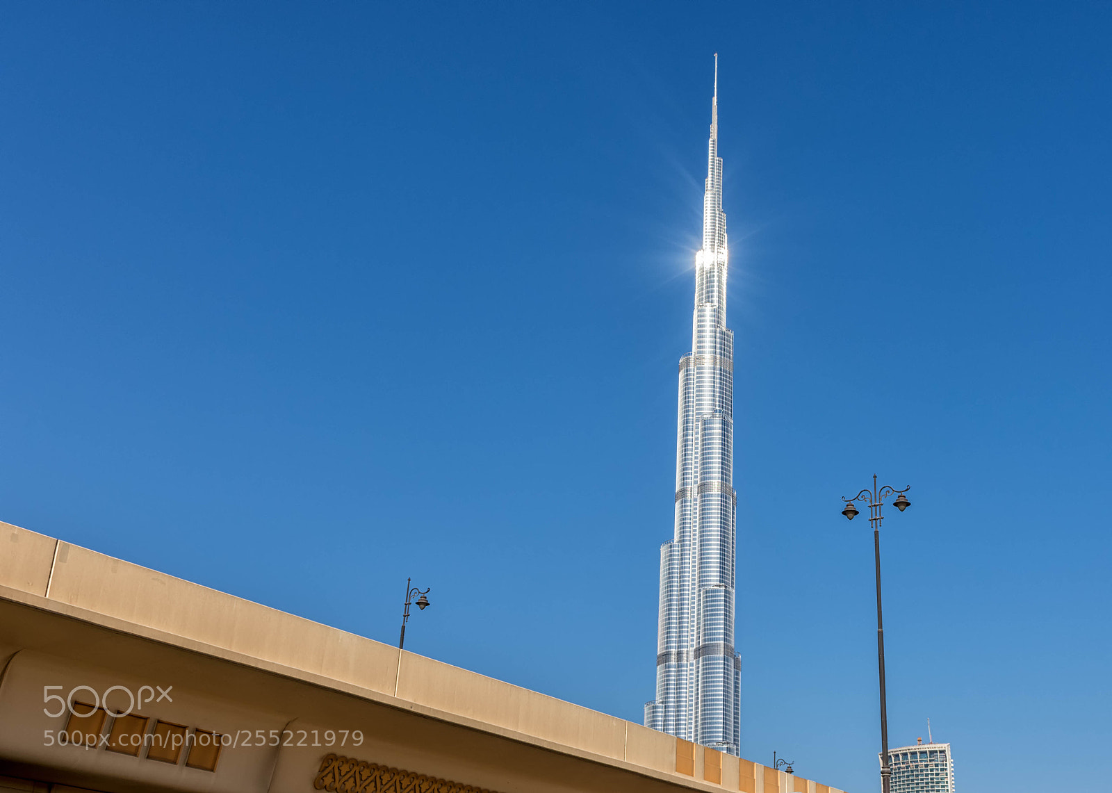 Nikon D7200 sample photo. High'light photography