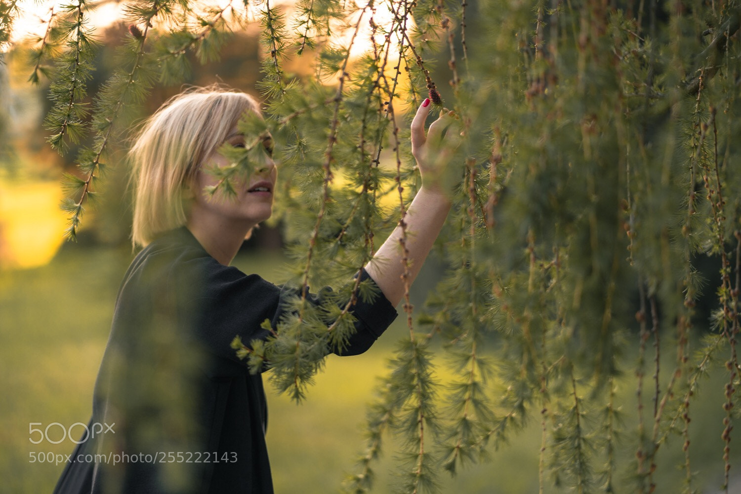 Sony a7R II sample photo. Enchanted photography