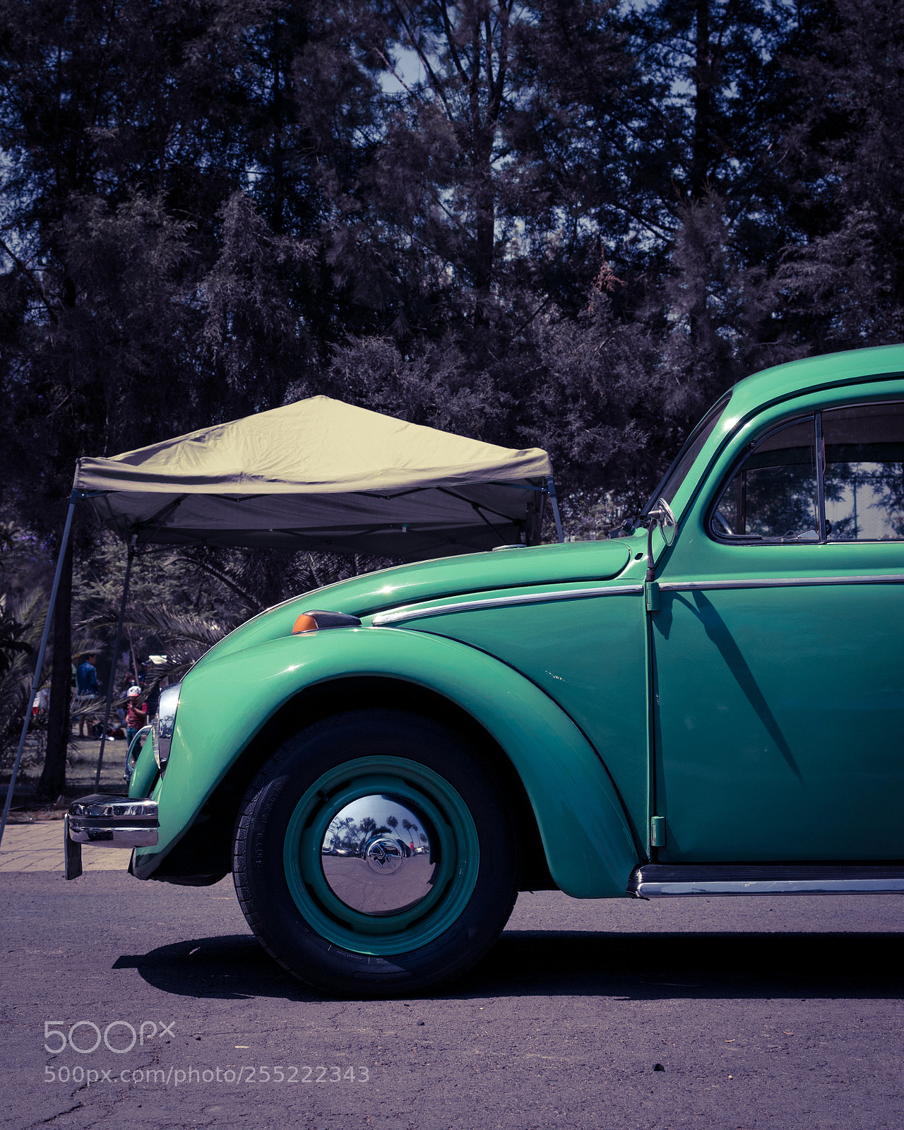 Nikon D5300 sample photo. Vw sedan photography
