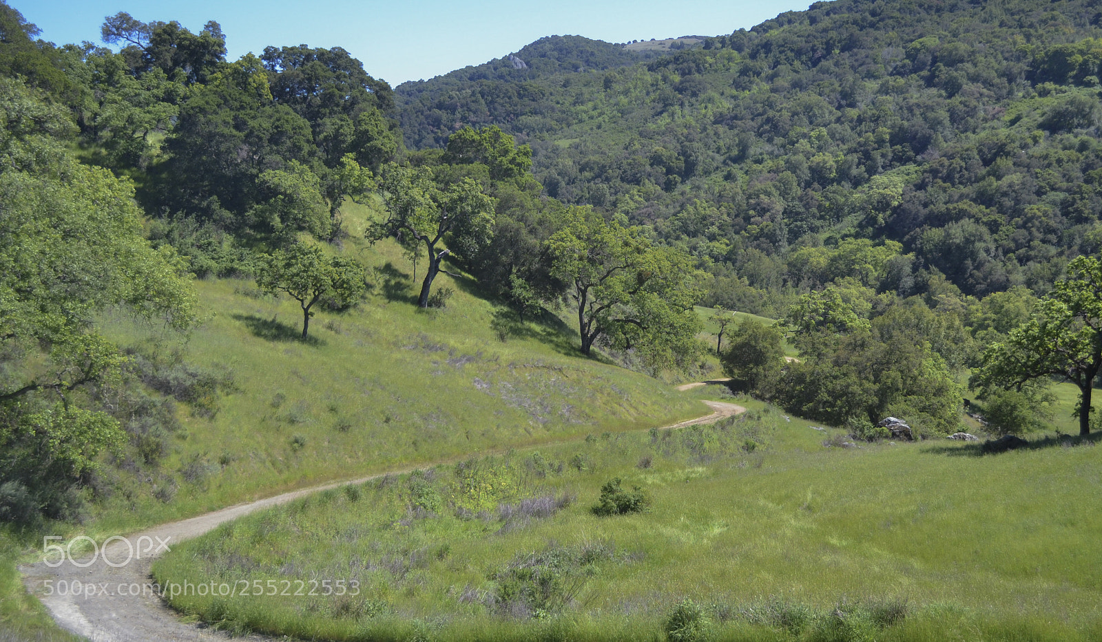 Nikon D3100 sample photo. Over grass and over photography