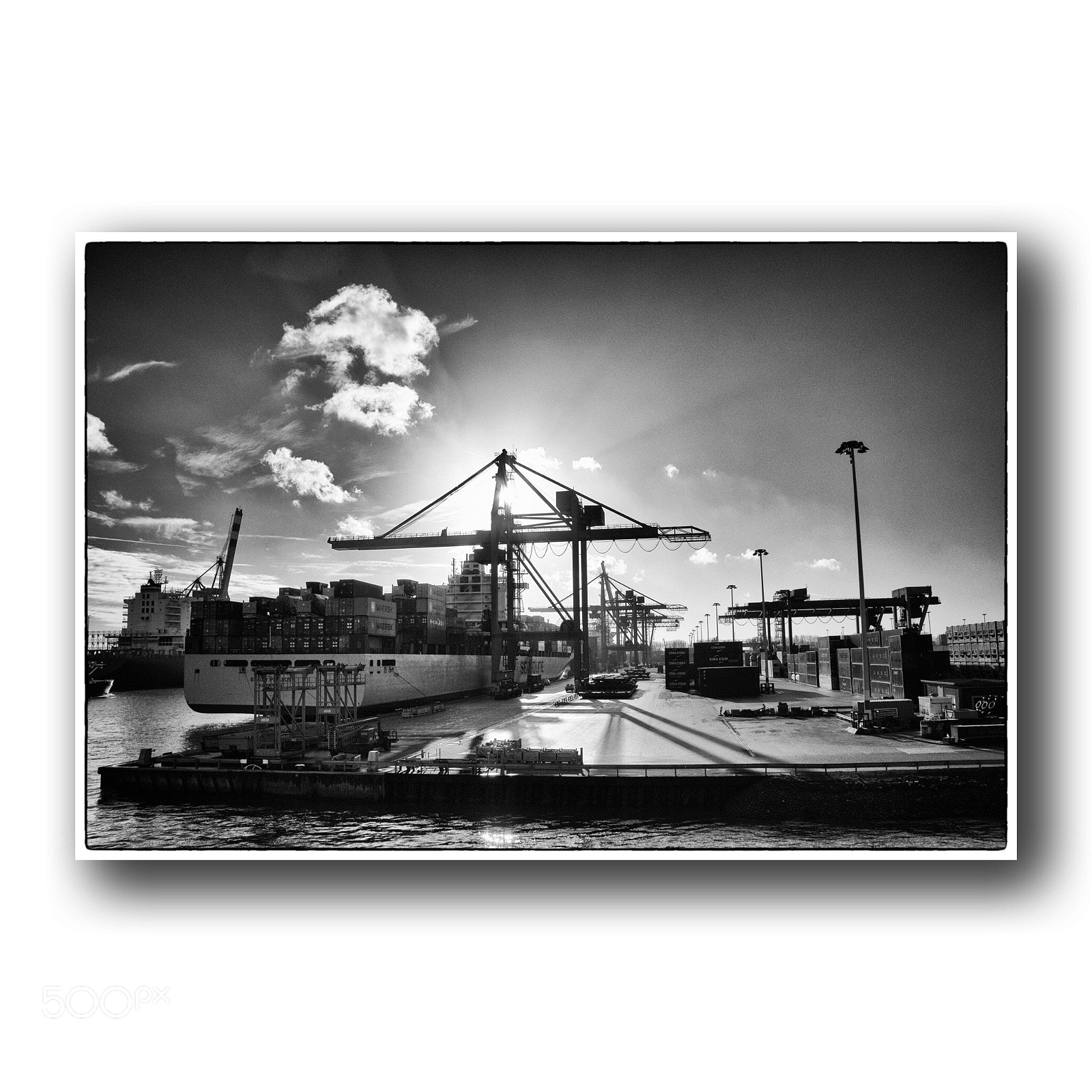 Nikon D5500 sample photo. In the port of photography