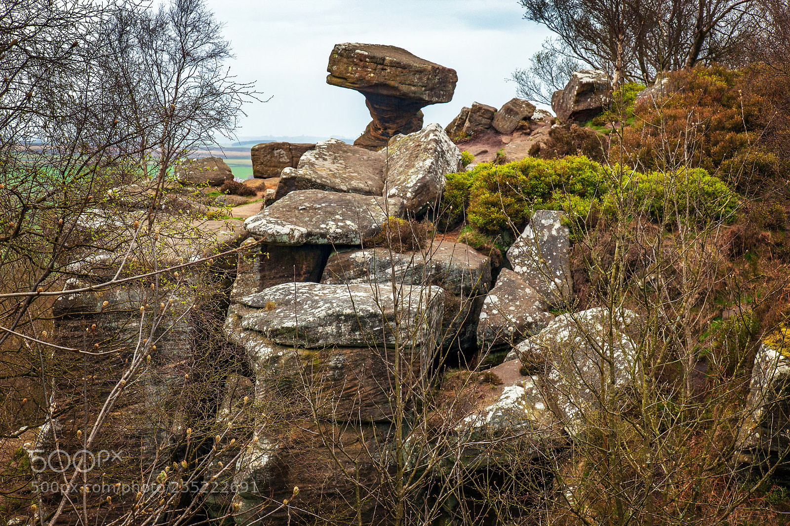 Canon EOS 5D Mark II sample photo. Brimham rocks photography