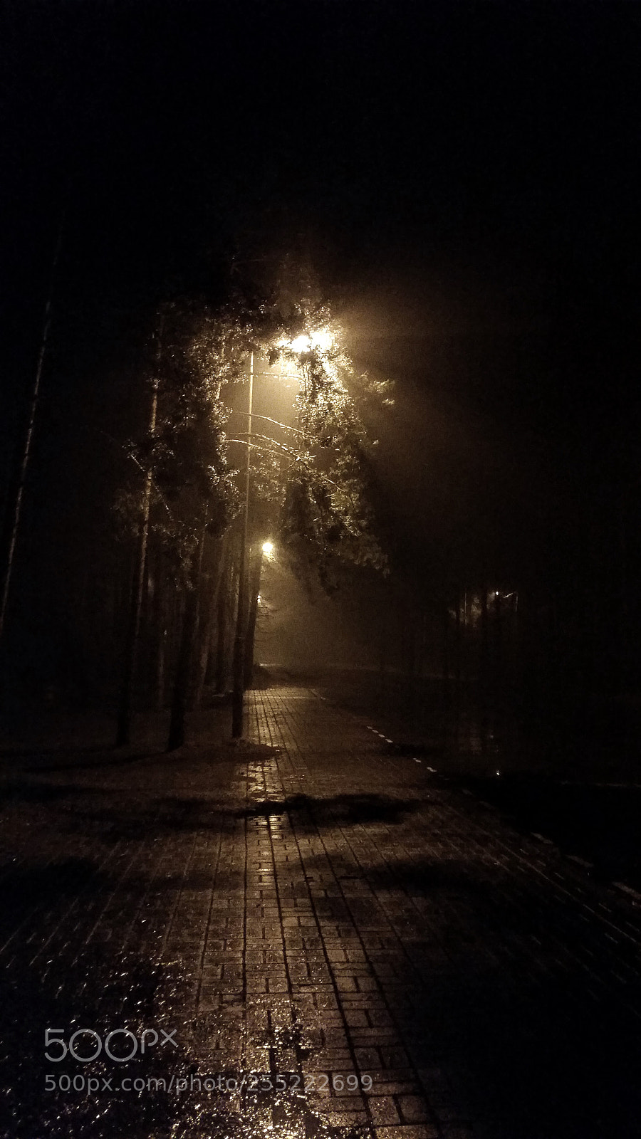 Samsung Galaxy S5 sample photo. В ночи photography