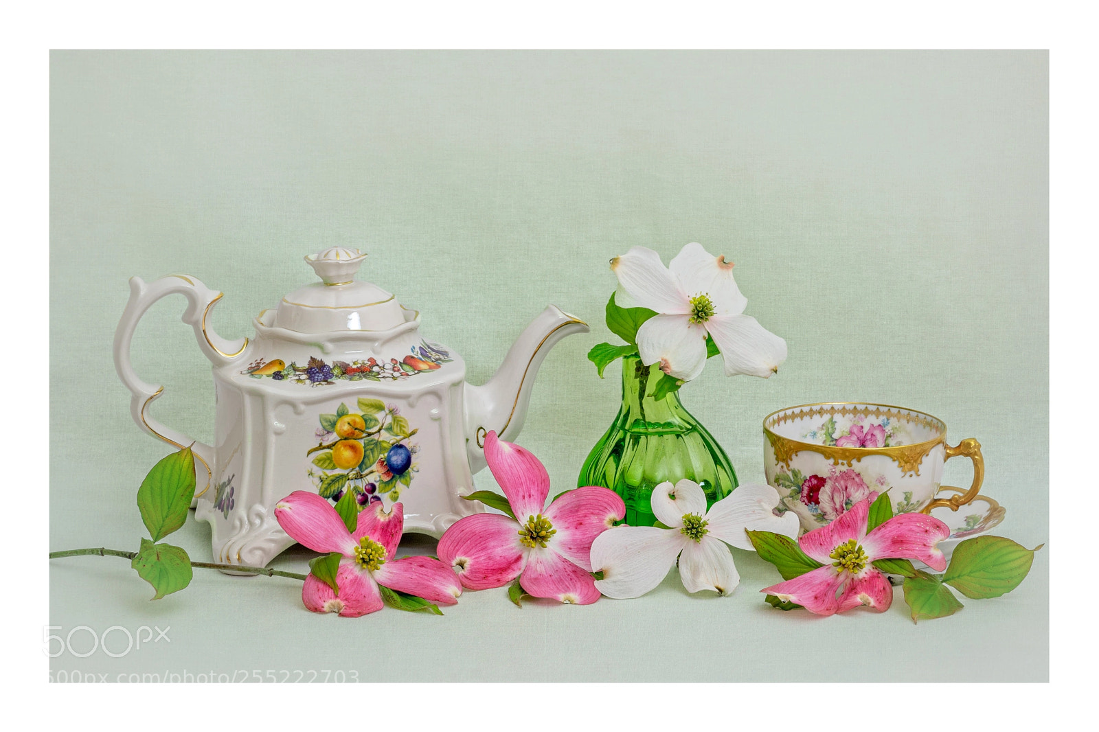 Sony a7R II sample photo. Dogwood tea time photography