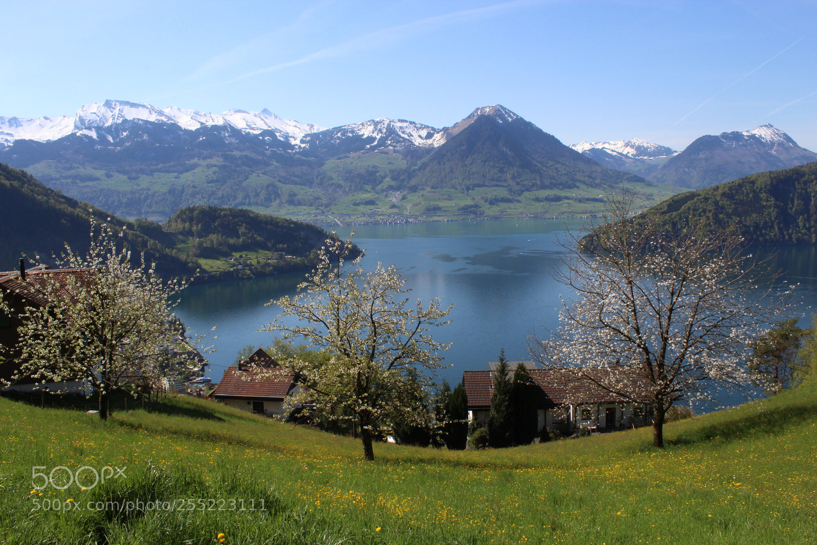Canon EOS 1300D (EOS Rebel T6 / EOS Kiss X80) sample photo. Rigi mountain landscape photography