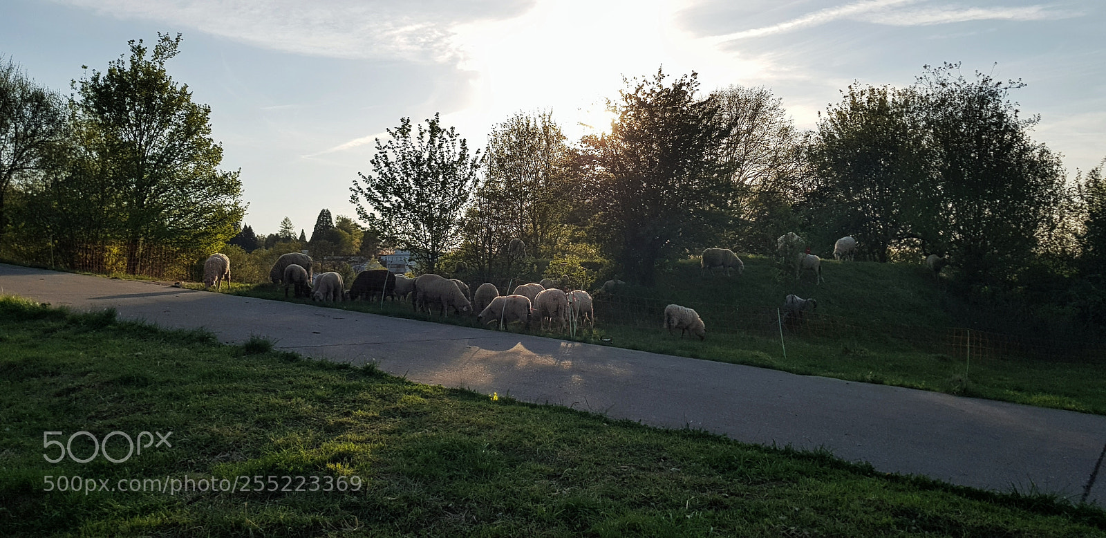 Samsung Galaxy S8 sample photo. Untitled photography