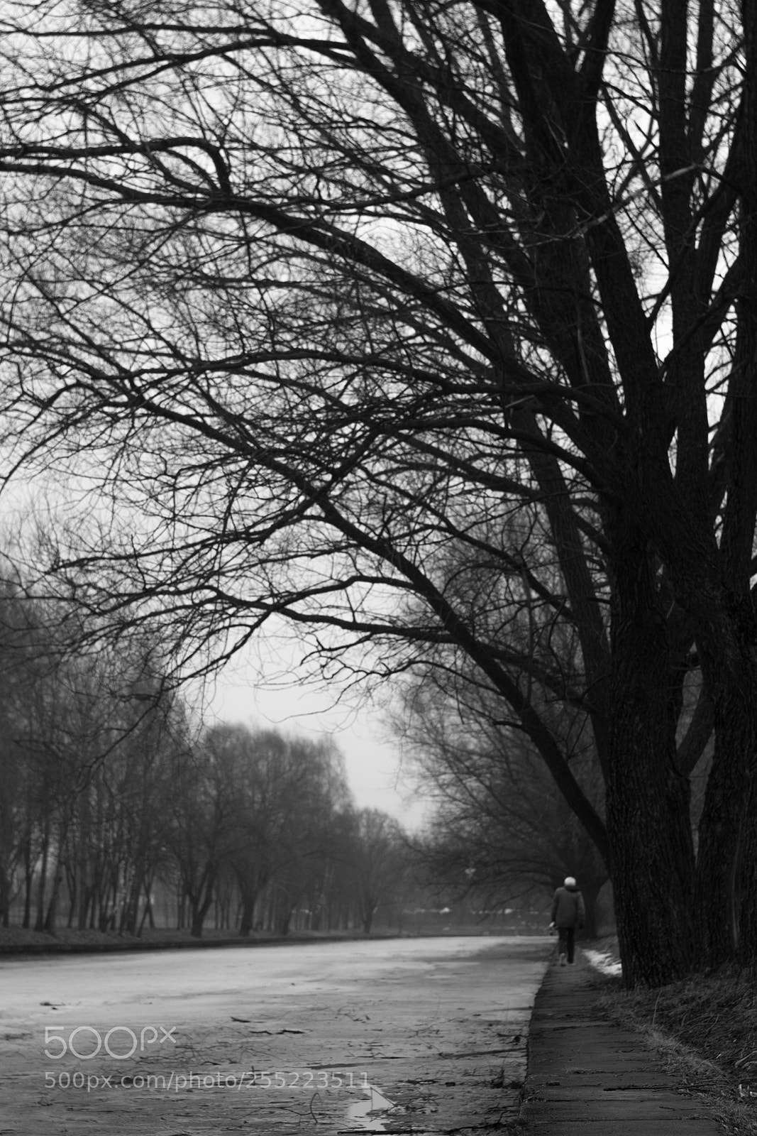 Fujifilm X-T1 sample photo. Untitled photography