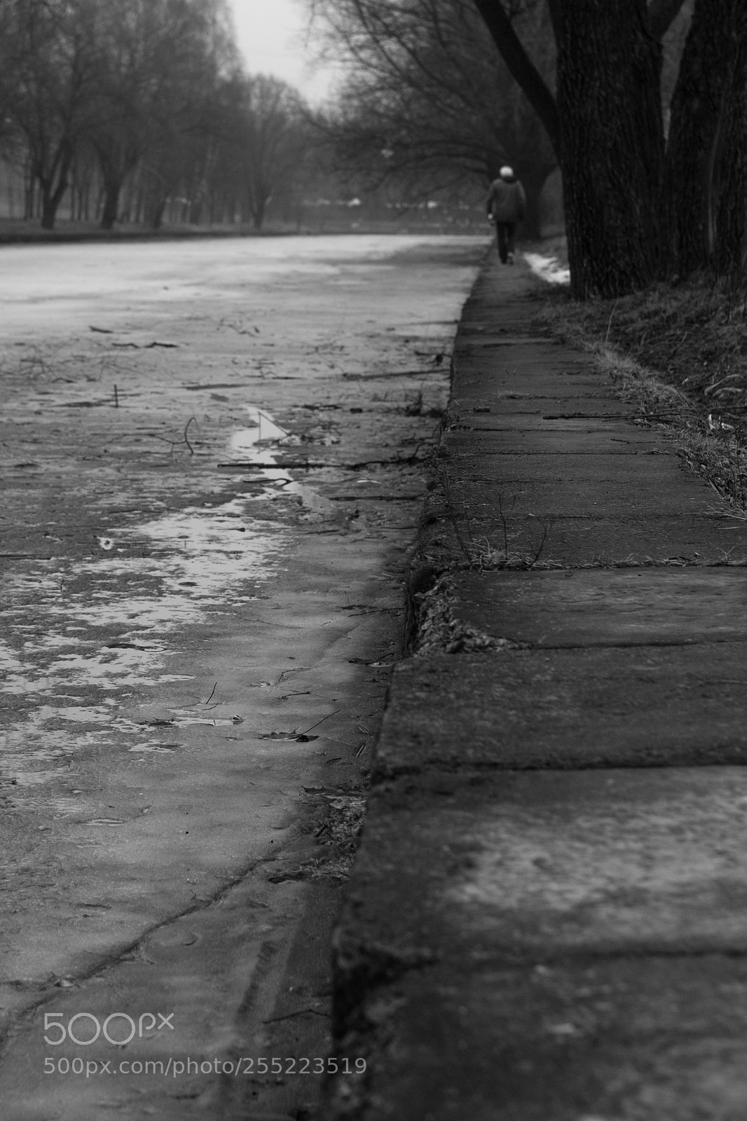 Fujifilm X-T1 sample photo. Untitled photography