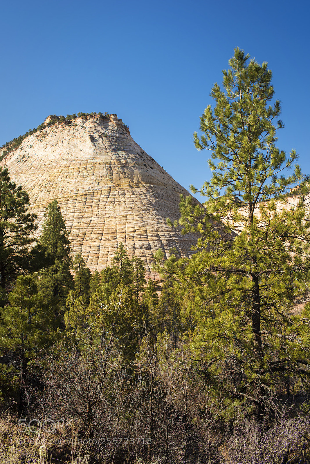 Nikon D810 sample photo. Checkerboard mesa photography