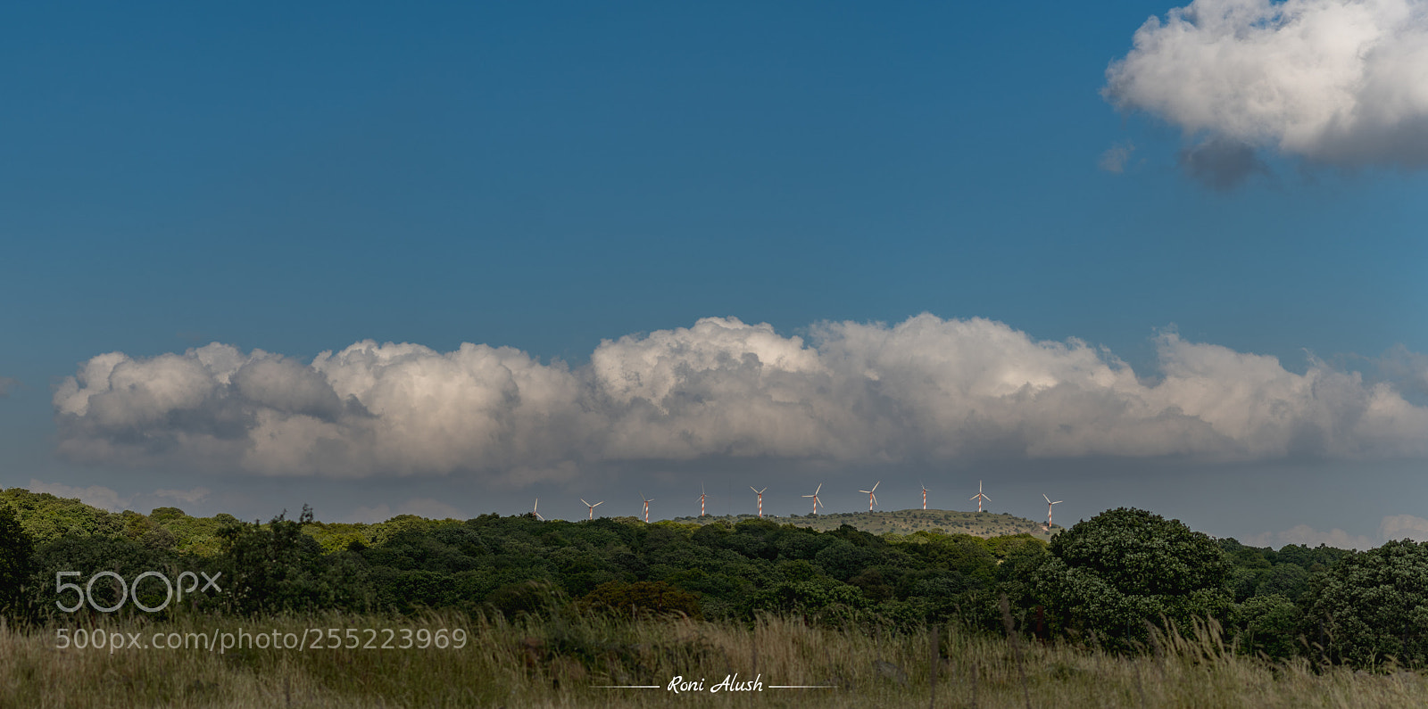 Nikon D500 sample photo. Under the clouds photography