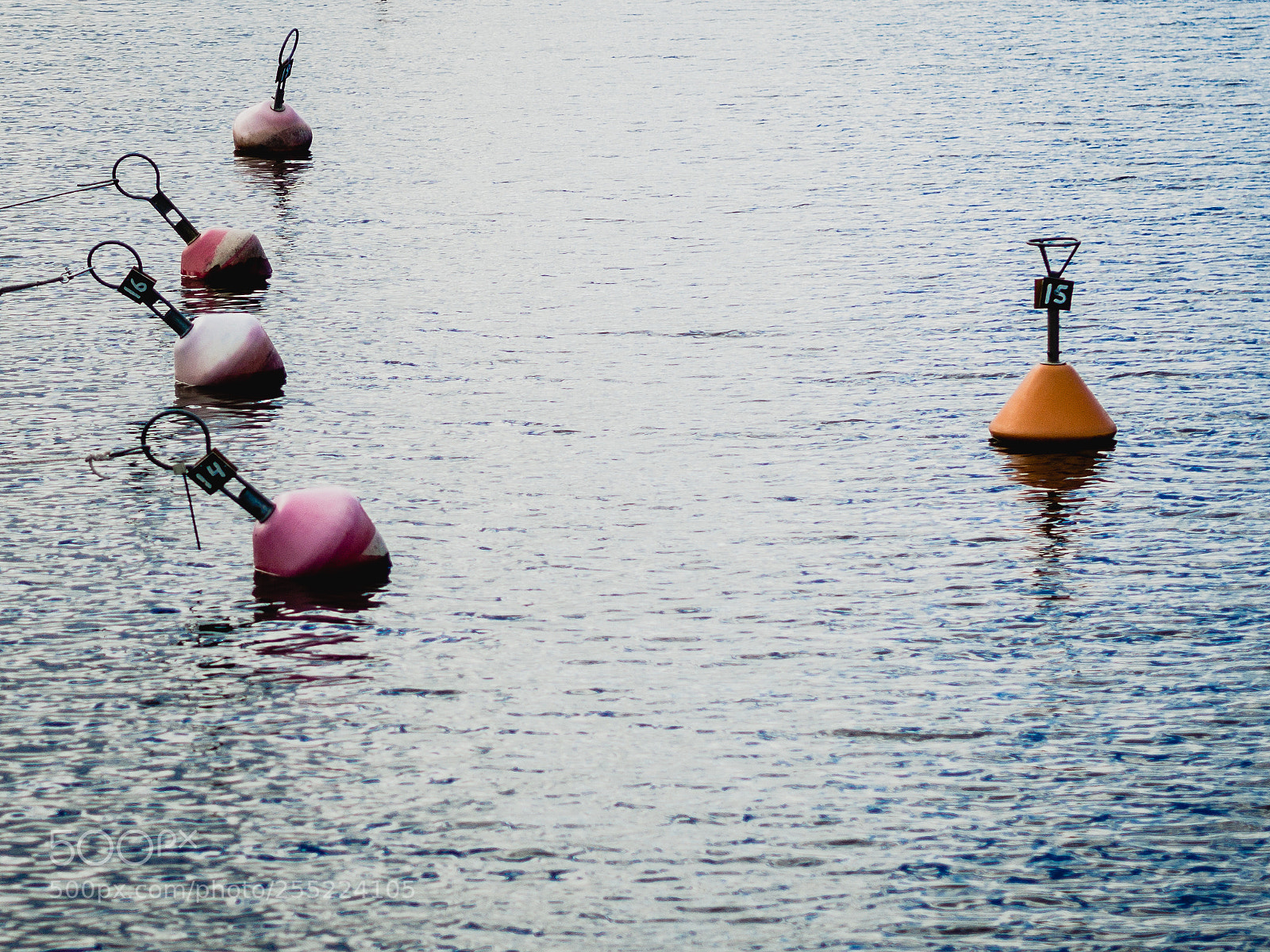 Olympus OM-D E-M5 sample photo. Buoy photography