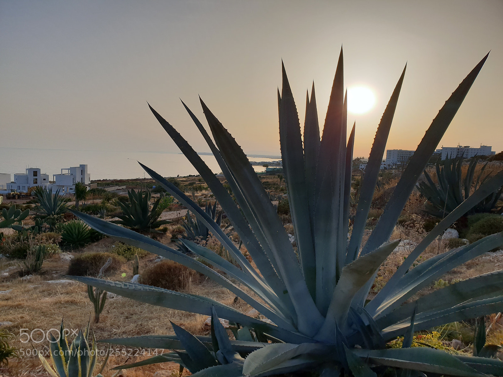 Samsung Galaxy S9+ sample photo. Cyprus photography