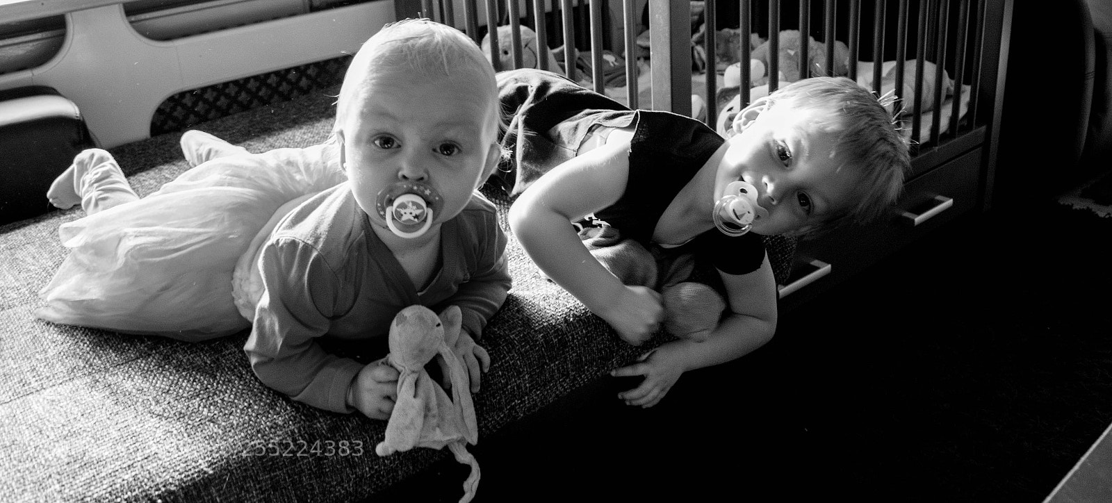 Nikon D3300 sample photo. Hey dad what are photography
