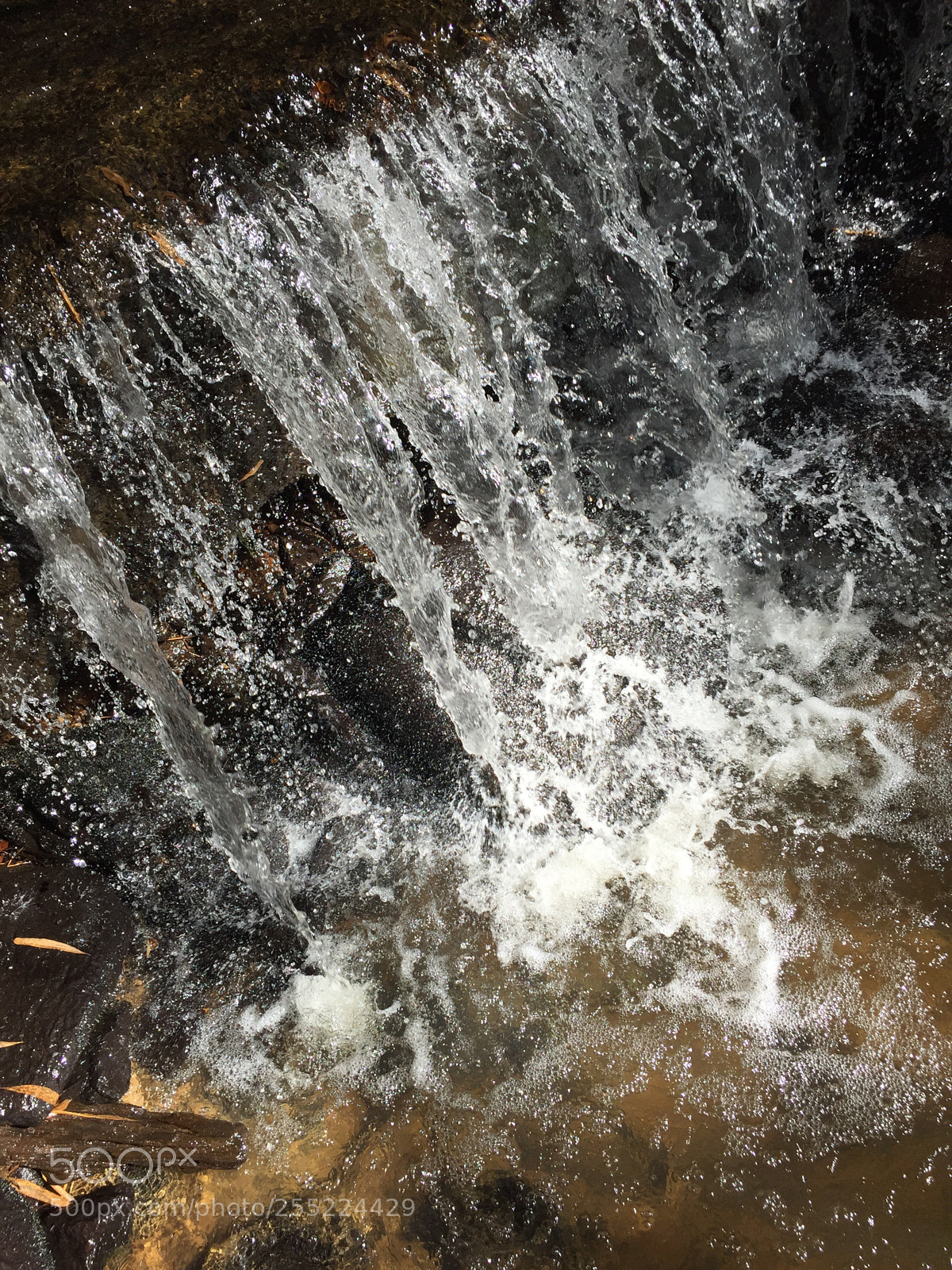 Apple iPhone 6 sample photo. Untitled photography