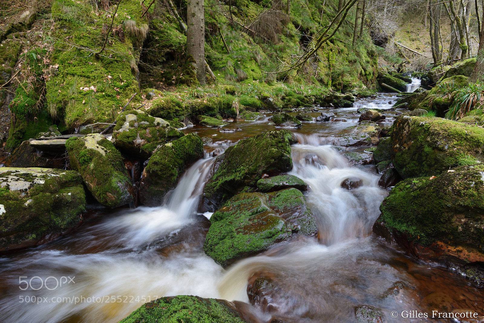Nikon D800 sample photo. Torrent. photography