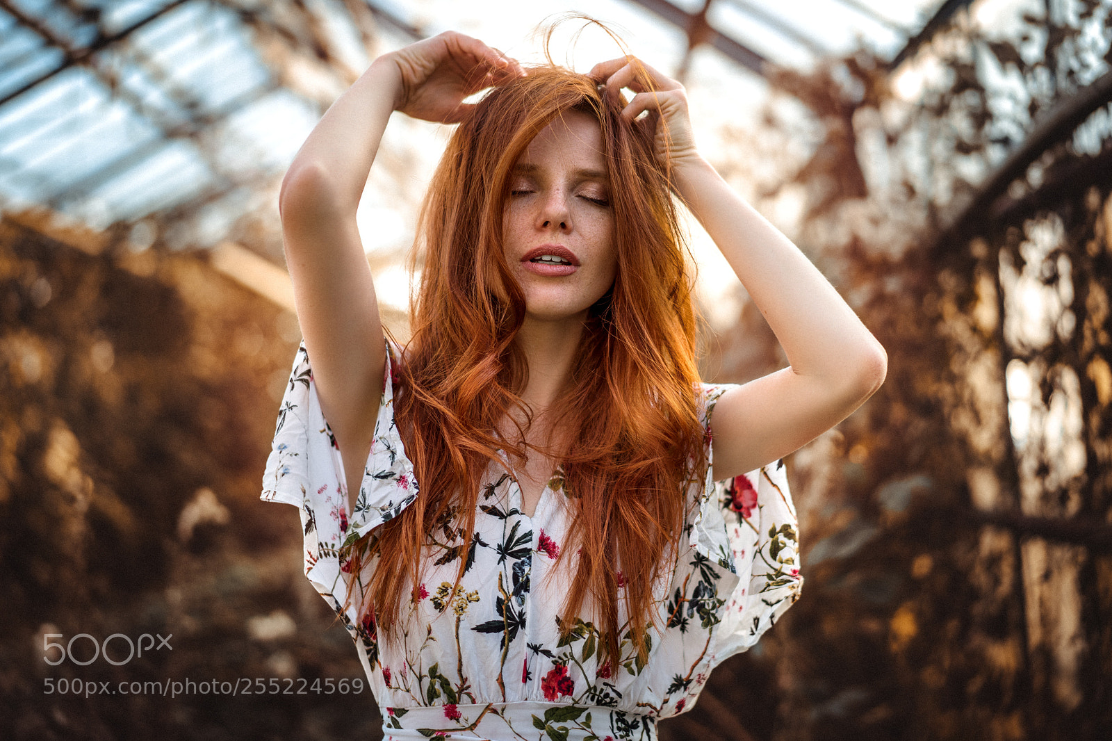 Sony a7 II sample photo. Widget photography