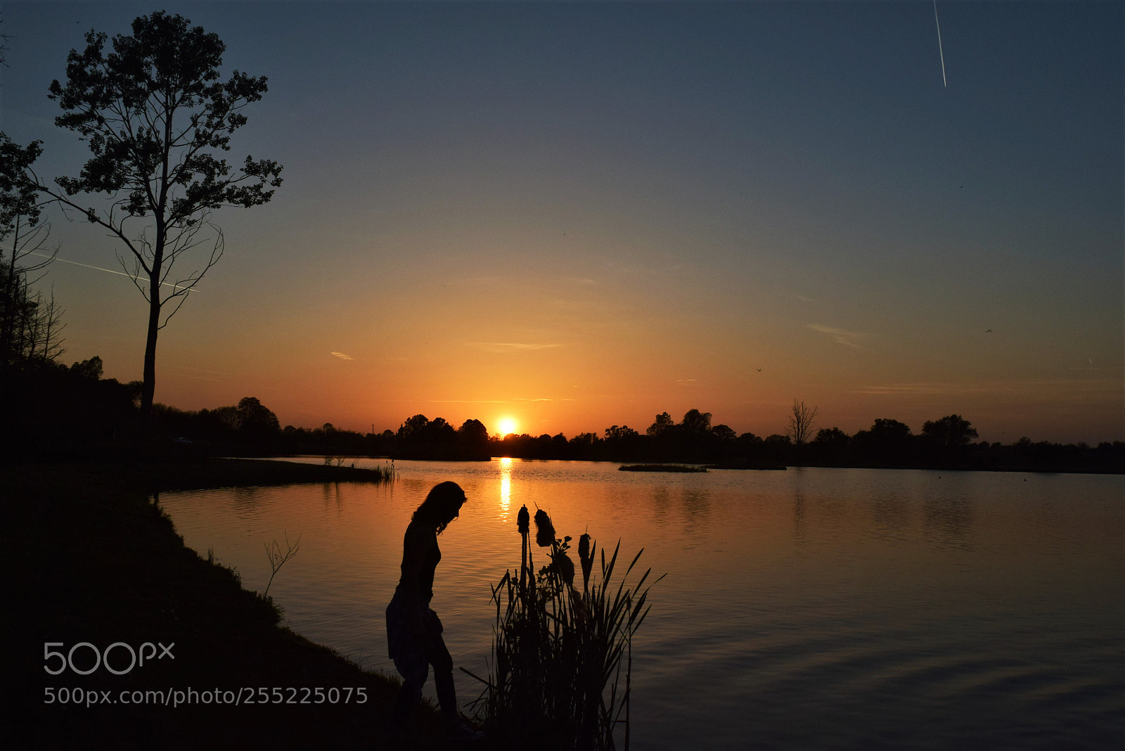 Nikon D3300 sample photo. Grandioso photography
