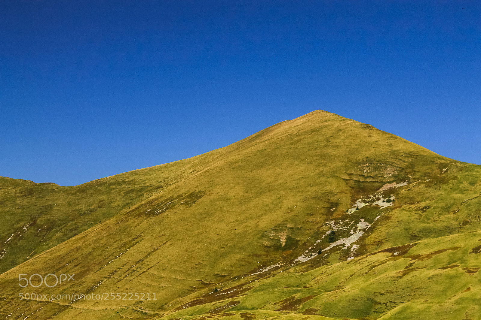 Canon EOS 1100D (EOS Rebel T3 / EOS Kiss X50) sample photo. Simplicity photography