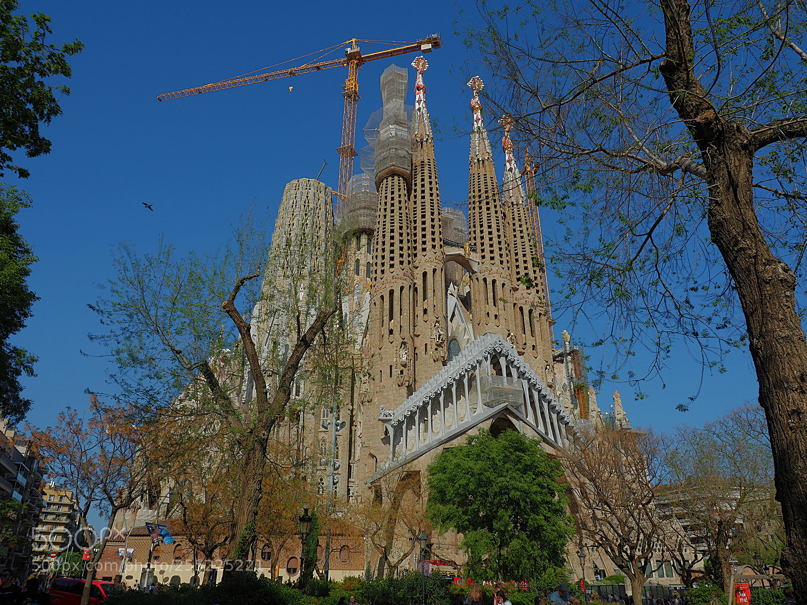 Olympus OM-D E-M5 II sample photo. La cath drale sagrada photography