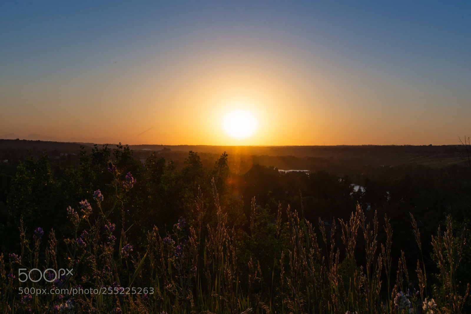 Nikon D7100 sample photo. Peaceful sunset photography