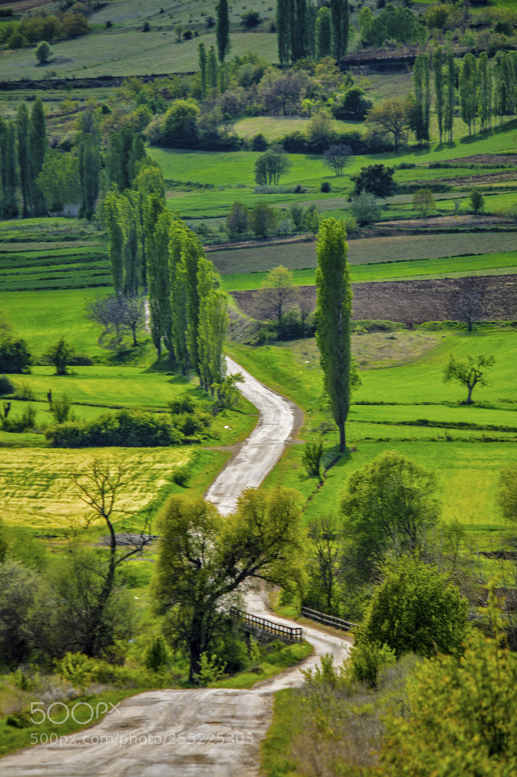 Canon EOS 60D sample photo. Anadolu'da bahar photography