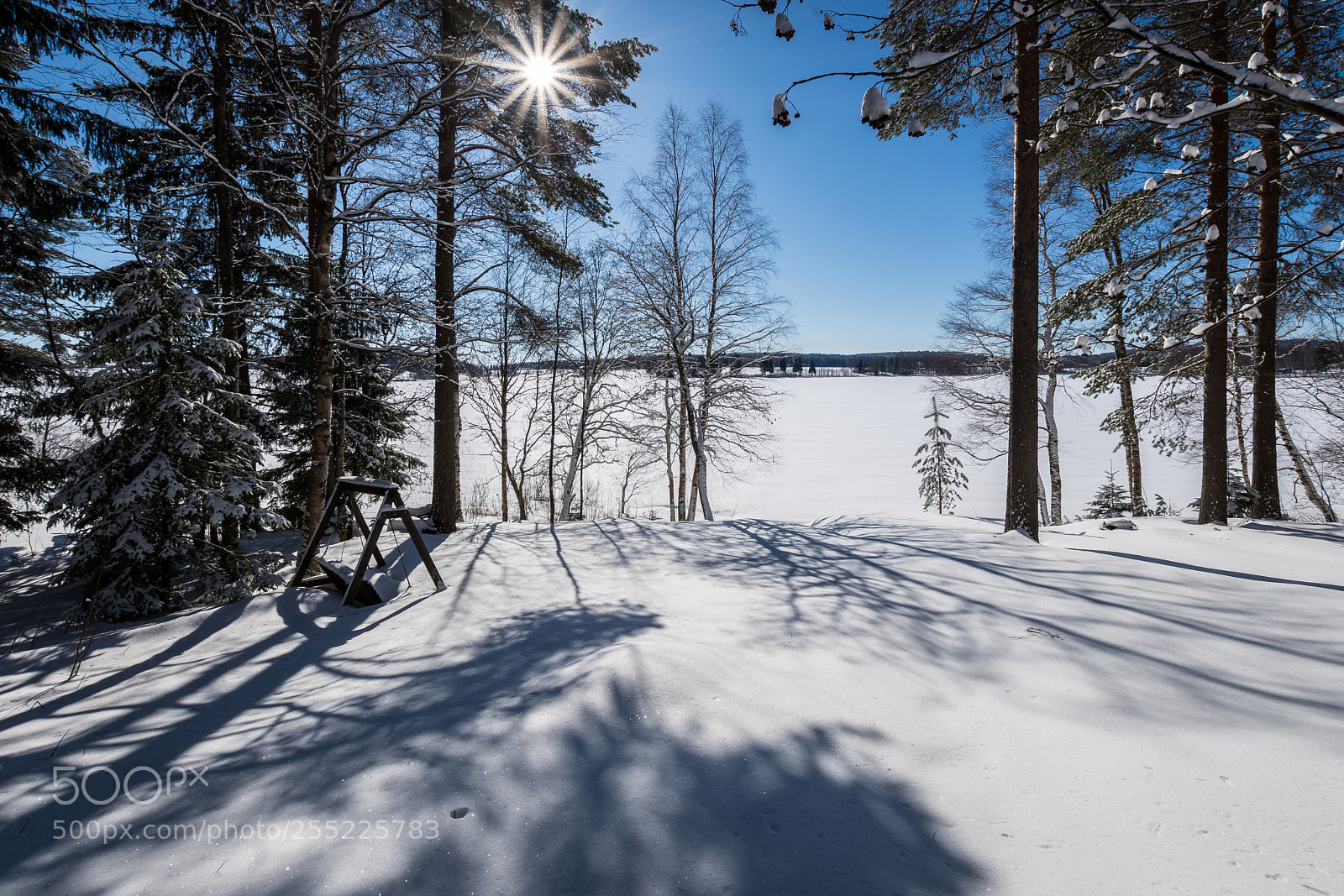 Nikon D7200 sample photo. Bright sun photography