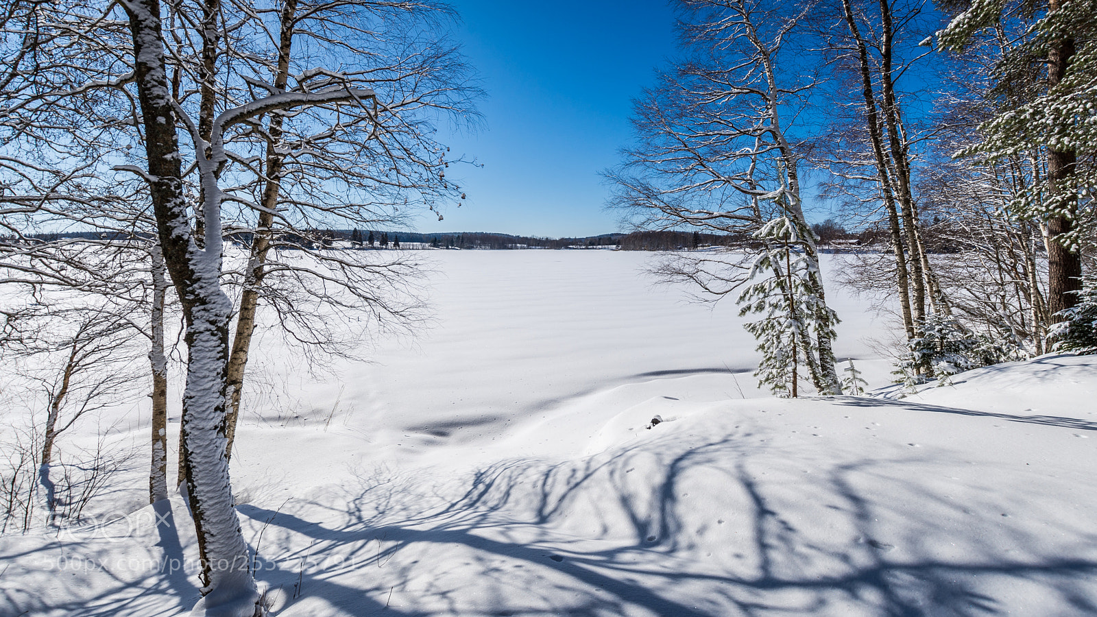 Nikon D7200 sample photo. Bright winter day photography