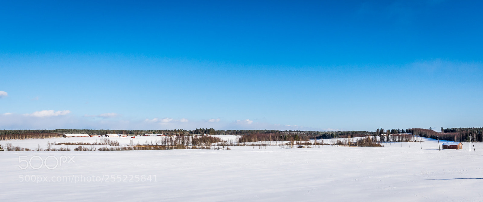 Nikon D7200 sample photo. Snowy fields photography
