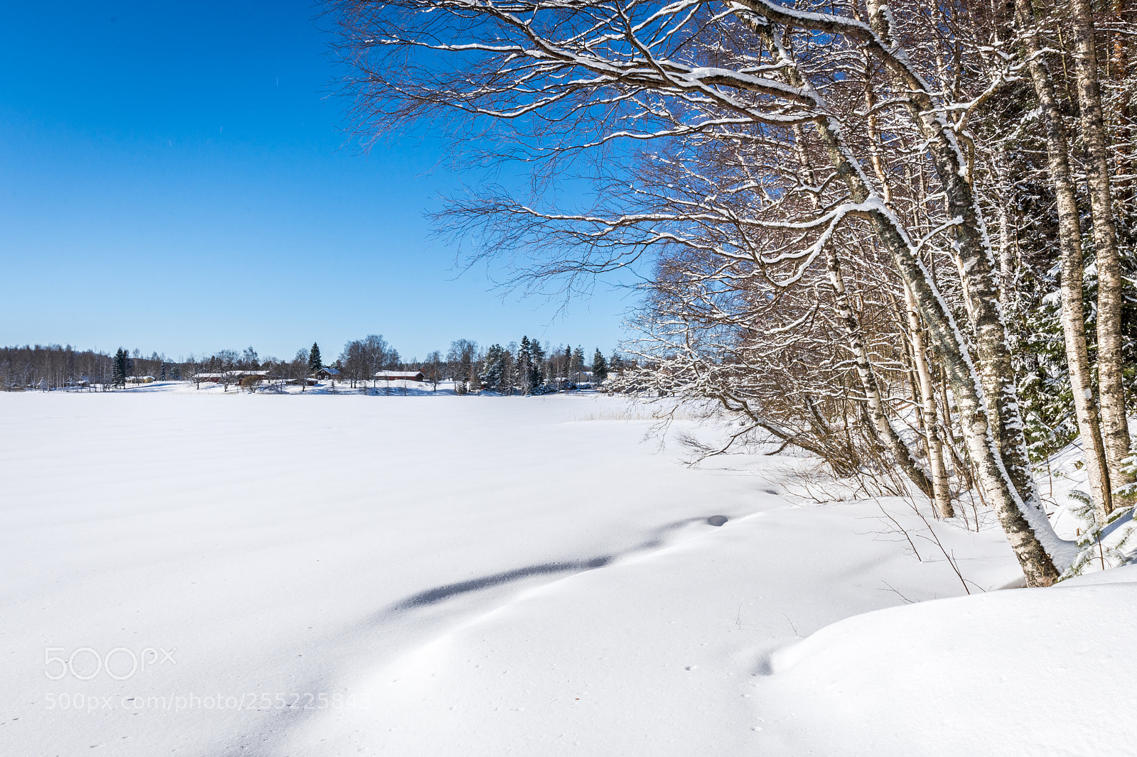 Nikon D7200 sample photo. Snowy bank photography