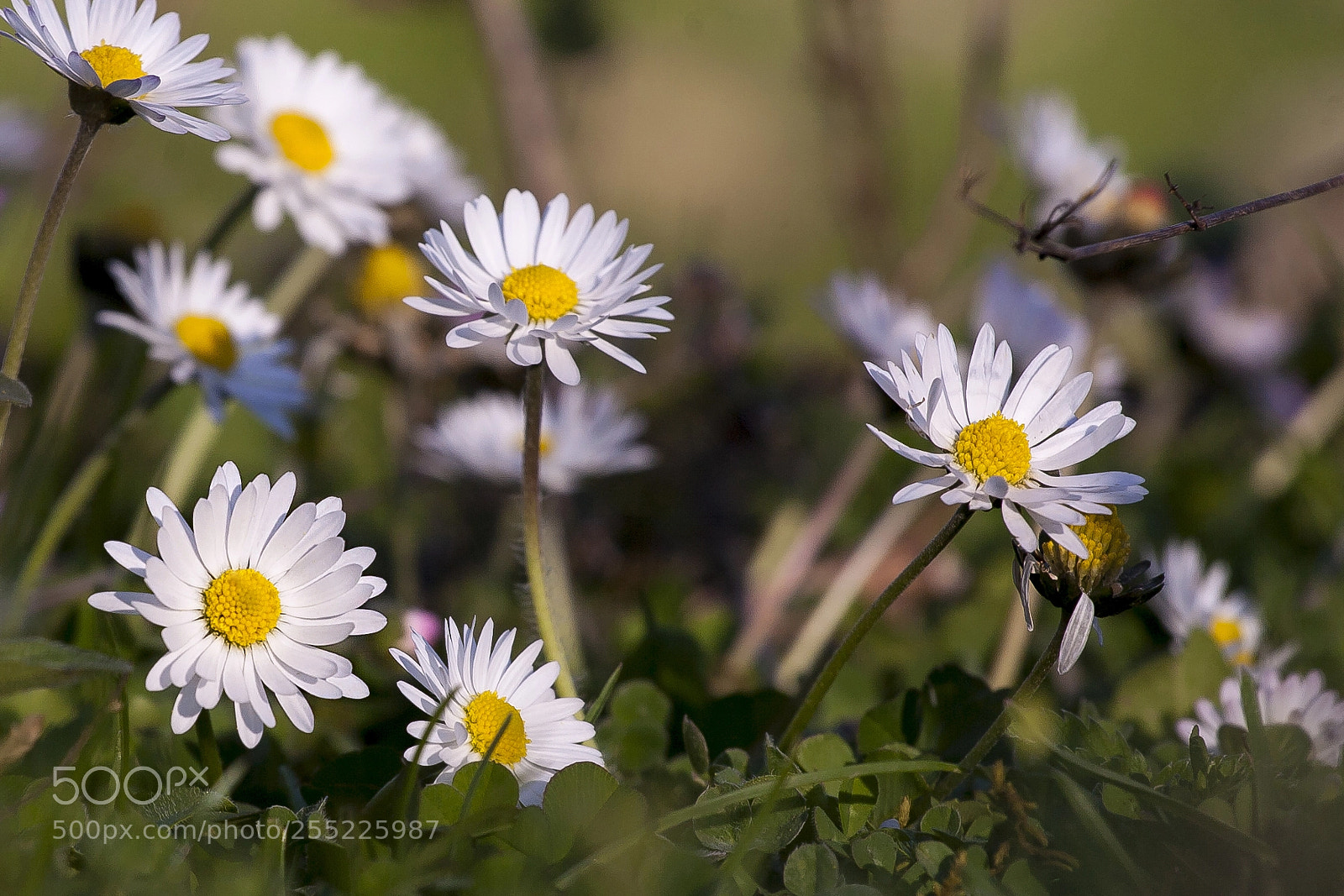 Canon EOS 5D sample photo. Sunbath photography
