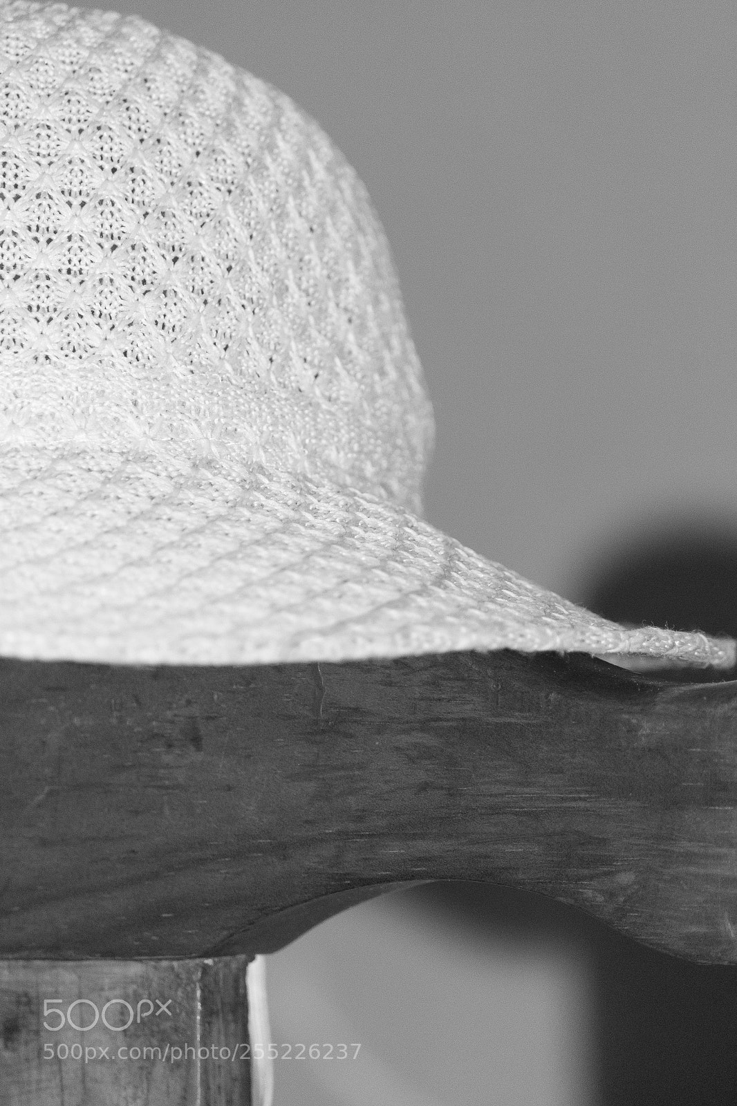 Nikon D3100 sample photo. 24 photography