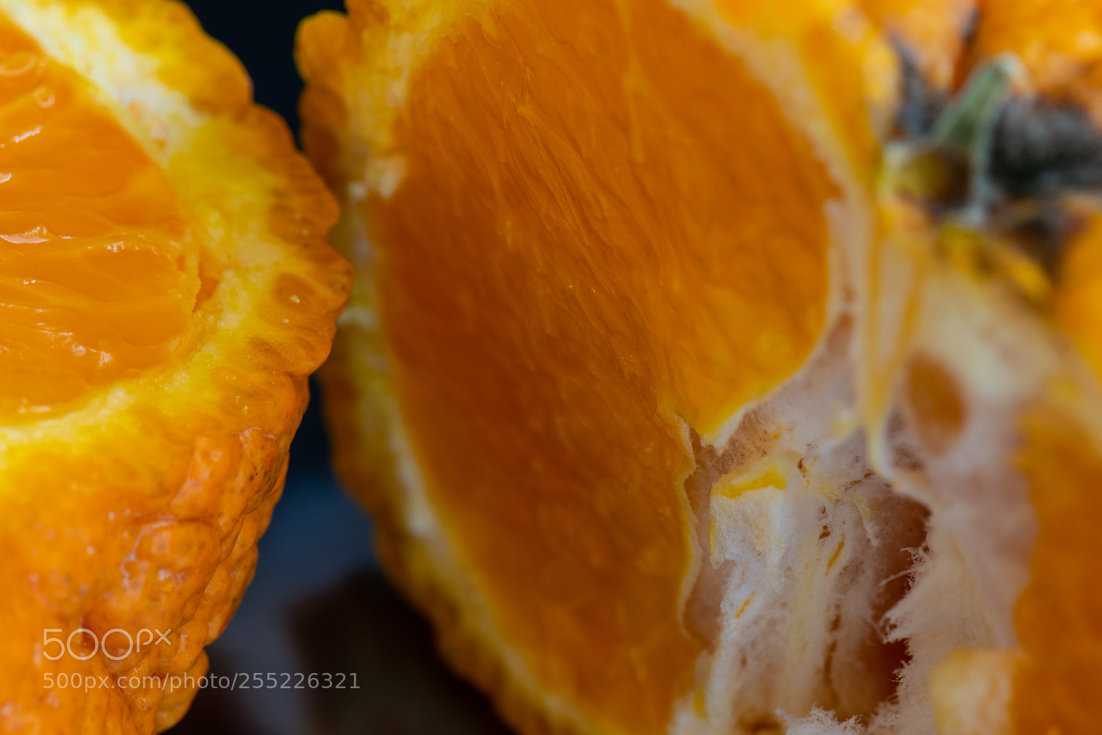 Nikon D5300 sample photo. Inside track photography